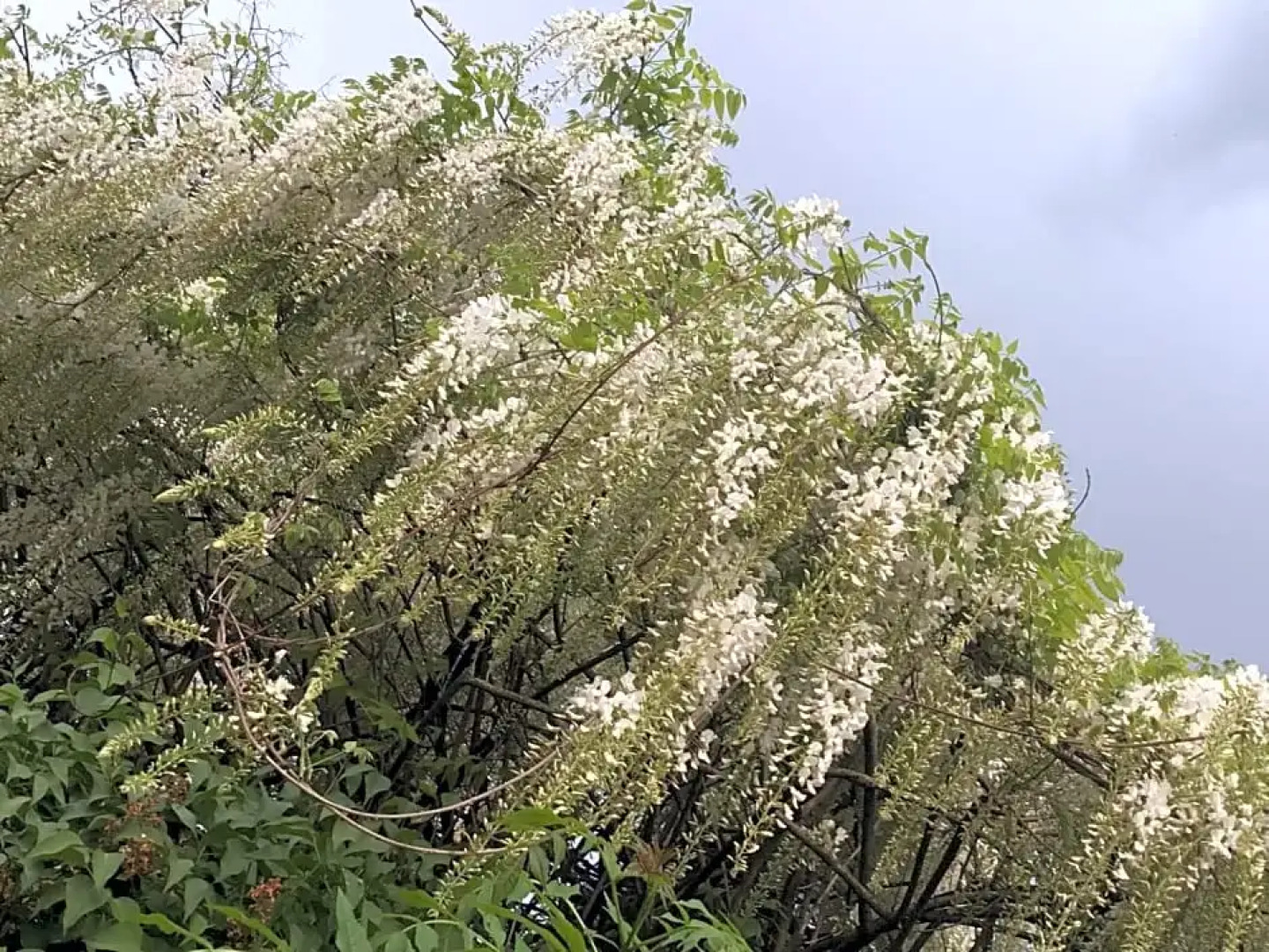 Chambre Privative Et Originale, a 20 Mn de Cluny