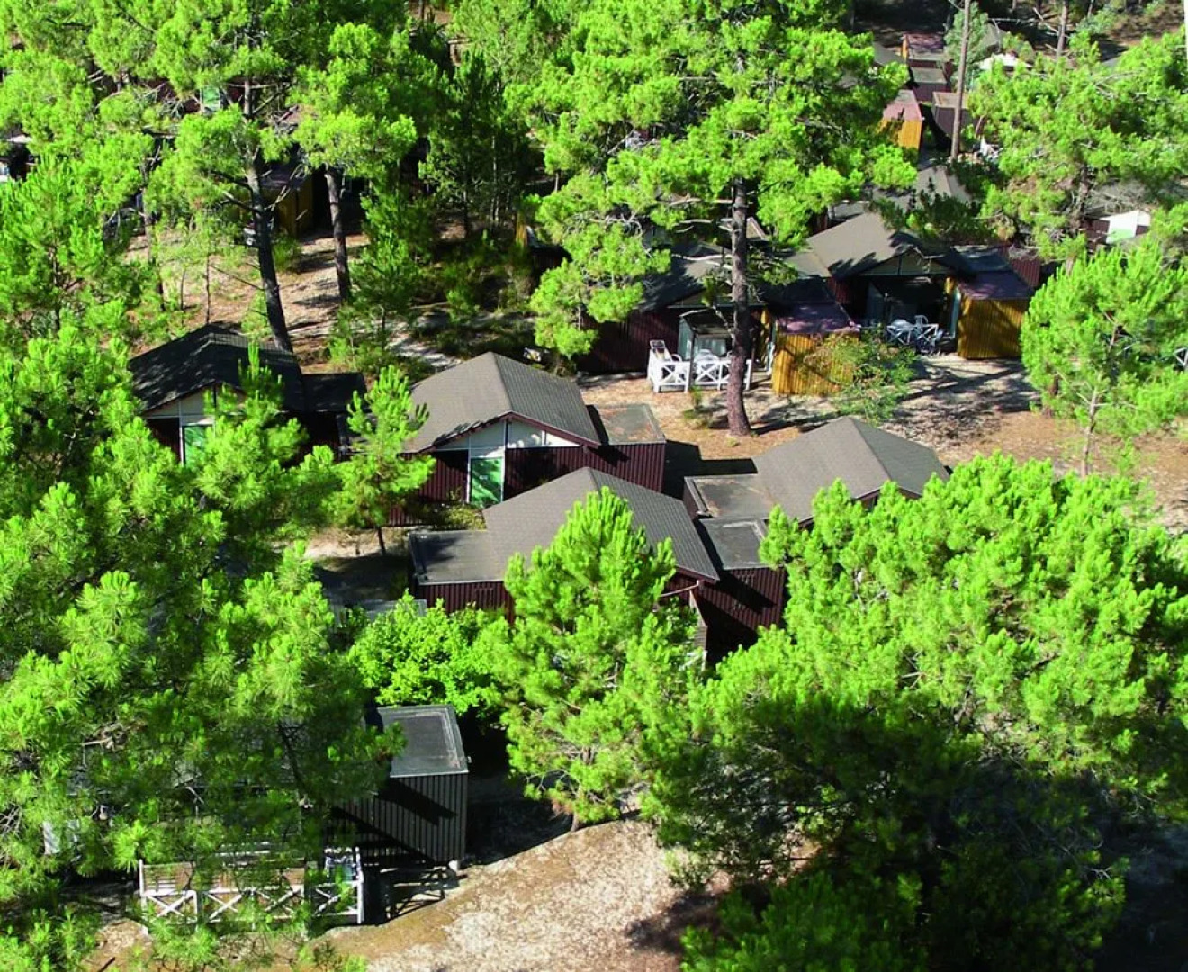 Les Oyats Sylvadoures