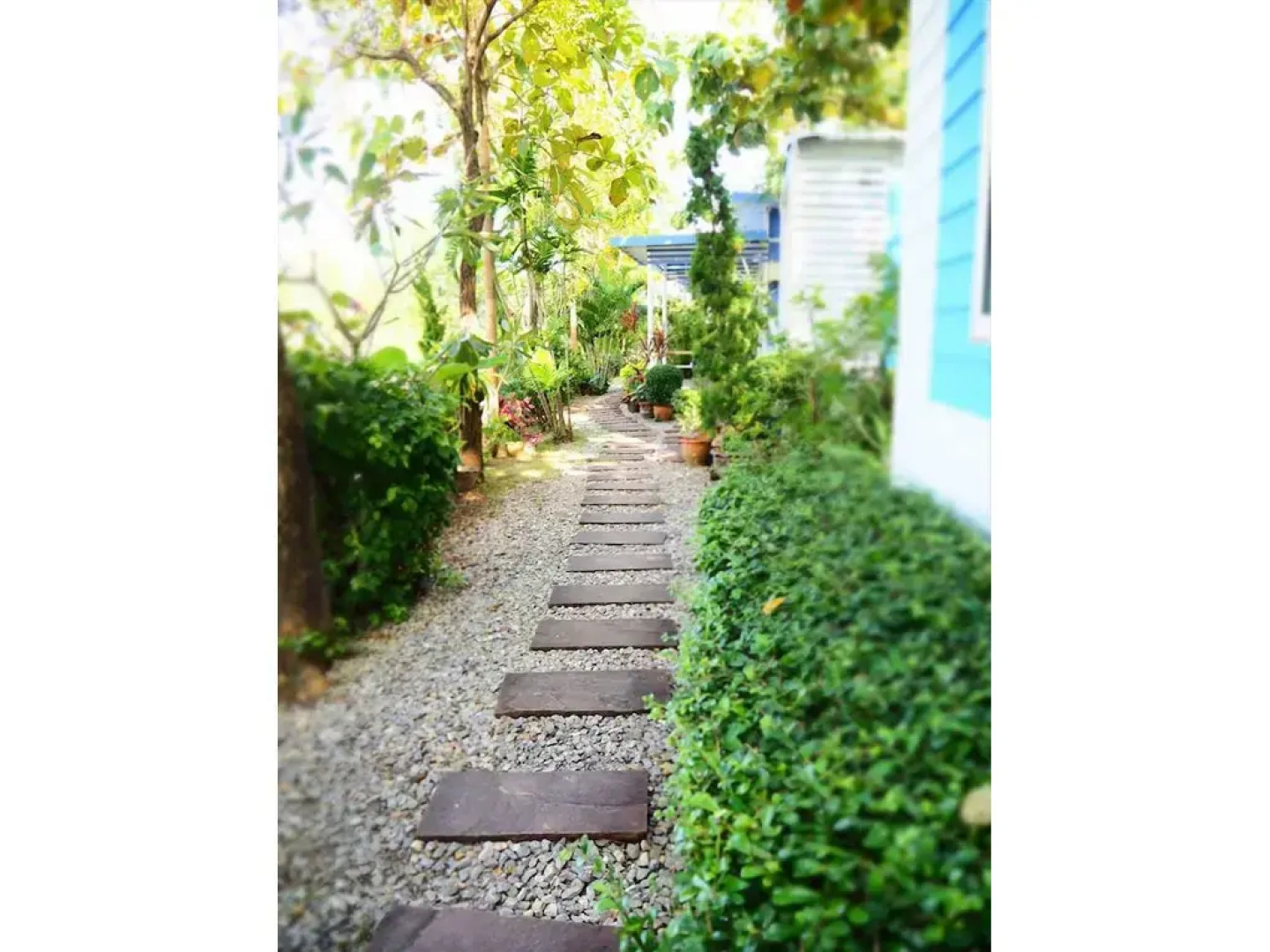 Suanson Paragon Green Resort