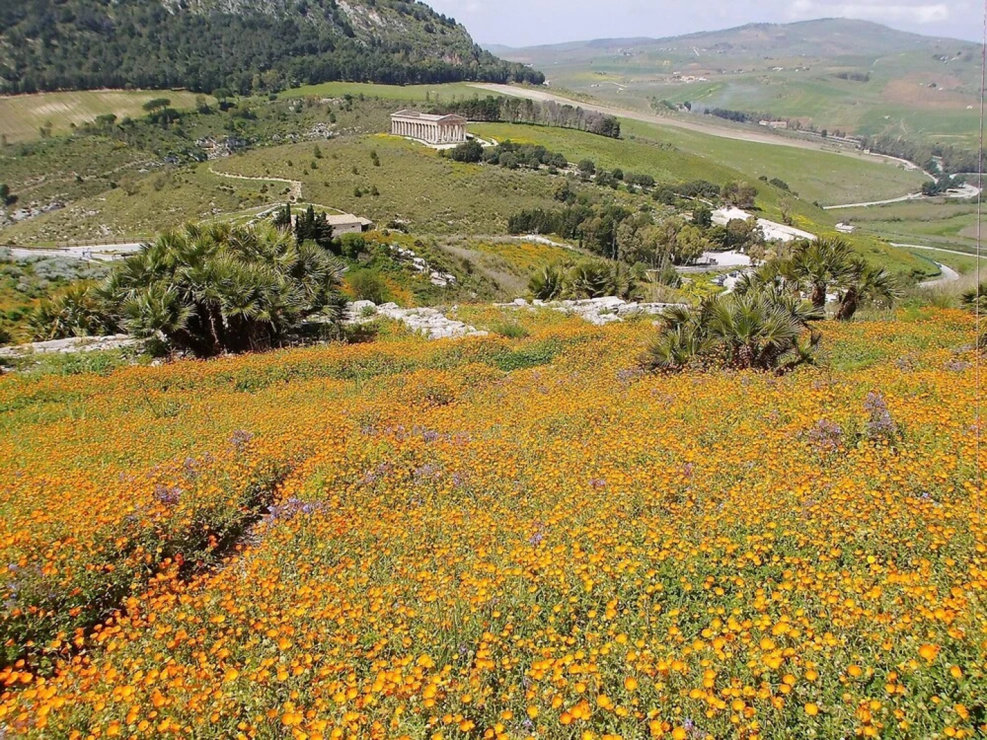 House with 3 bedrooms in Comiso with furnished garden and WiFi 10 km from the beach