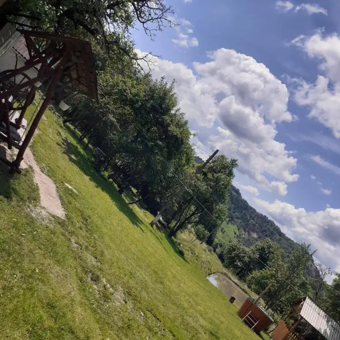 Room in Guest room - Sejour in green garden with lake view for 2 People