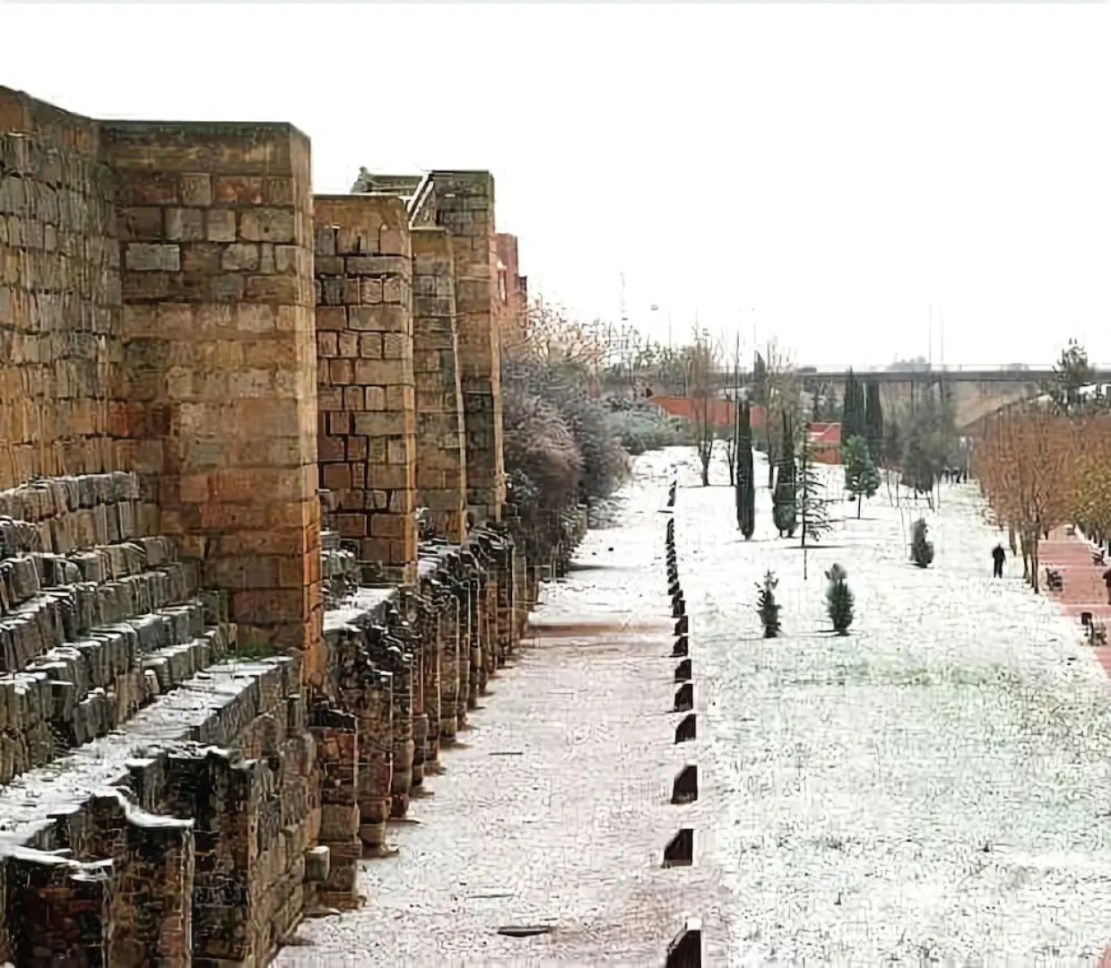 Apartamentos Coso de San Albin