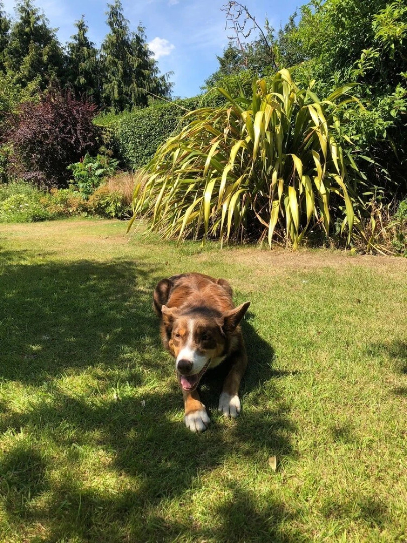 St Judes Bed & Breakfast