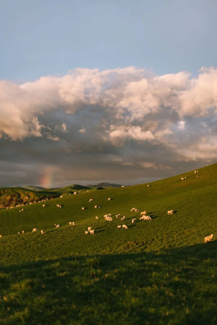Wallingford Homestead