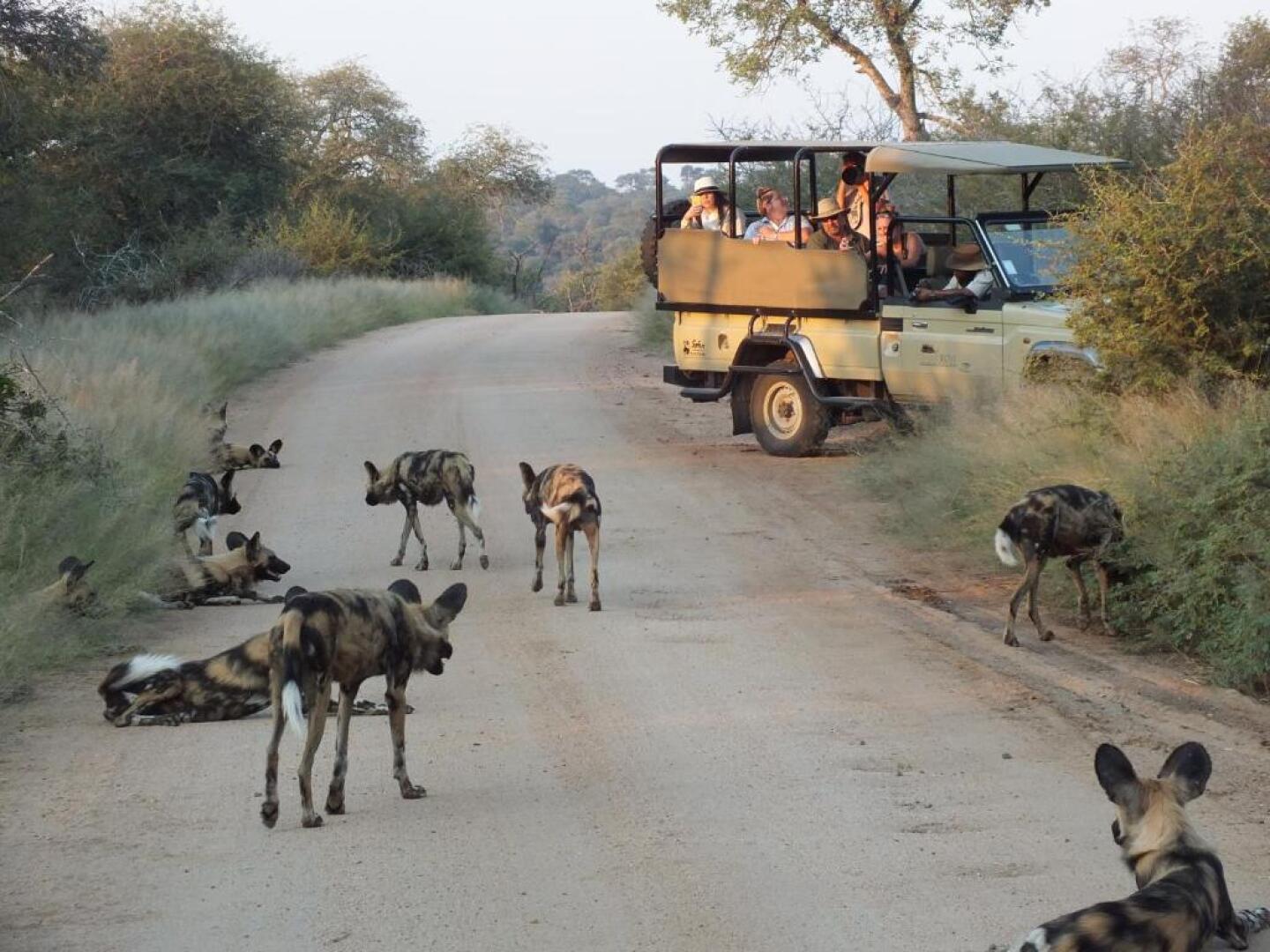Rhino Post Safari Lodge