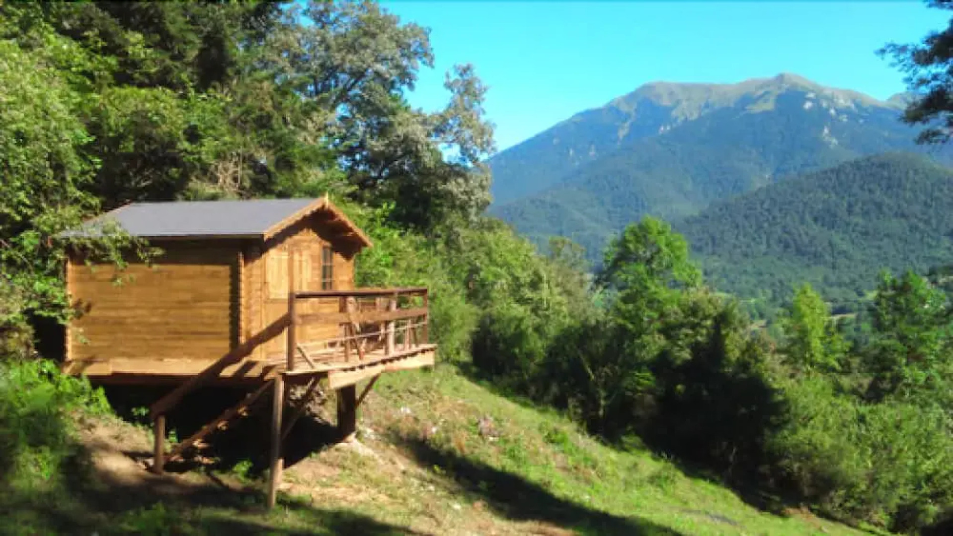 Les Insolites d'Eljie