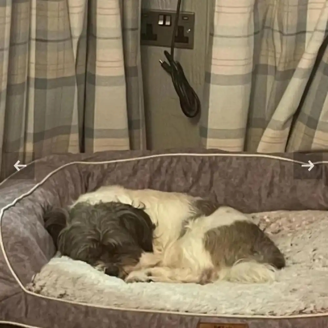 2 Bedroom Sleeps 4 Lodge-smart Tv-hot Tub-dogs Ok