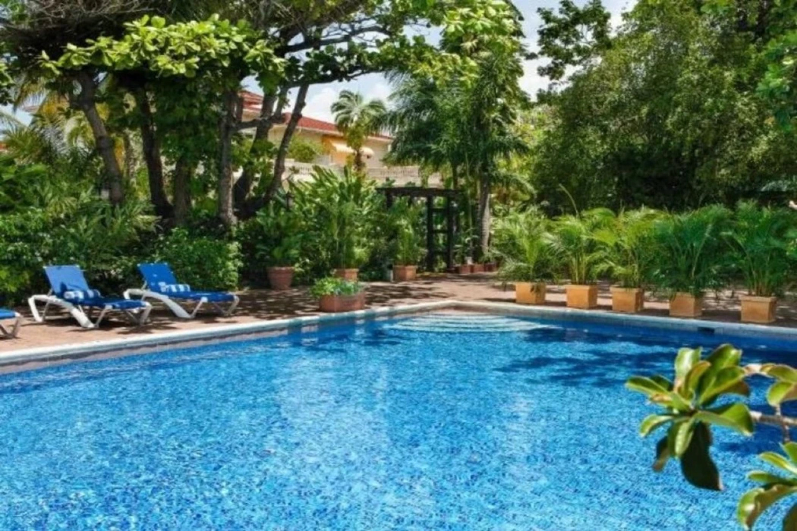 Terra Nova, BW Premier Collection