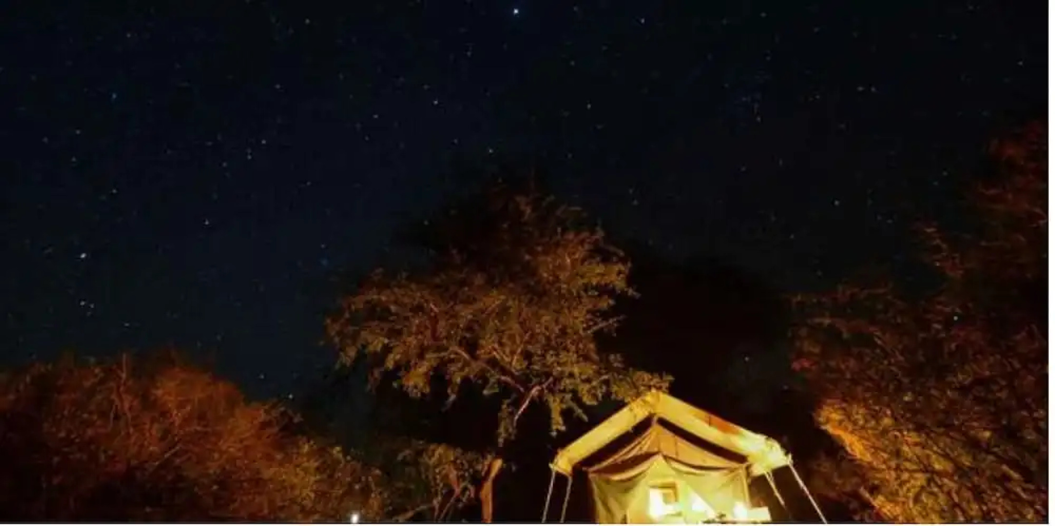 Tuskers Wilderness Camp