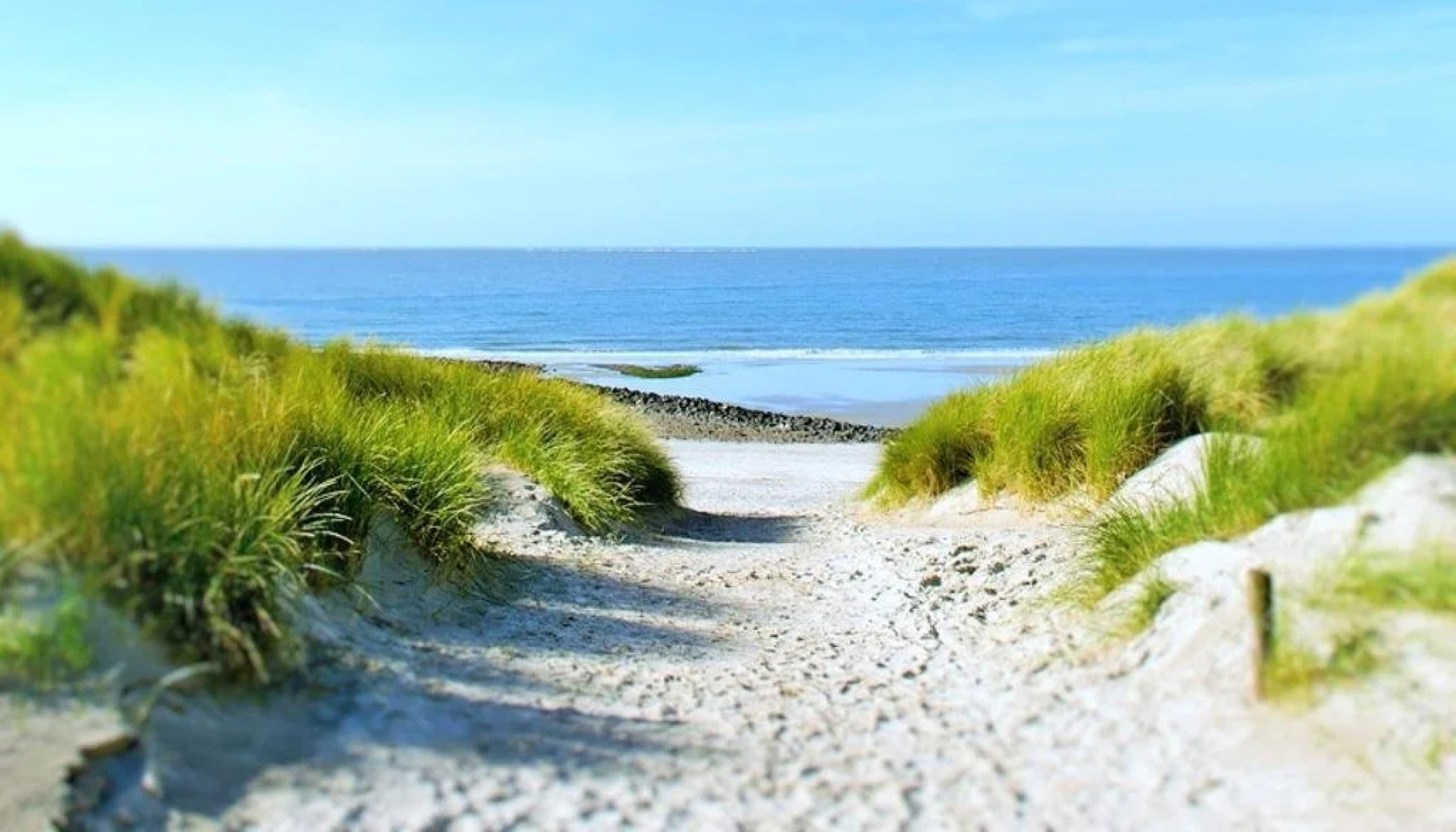 Villa Flandria Brugensis