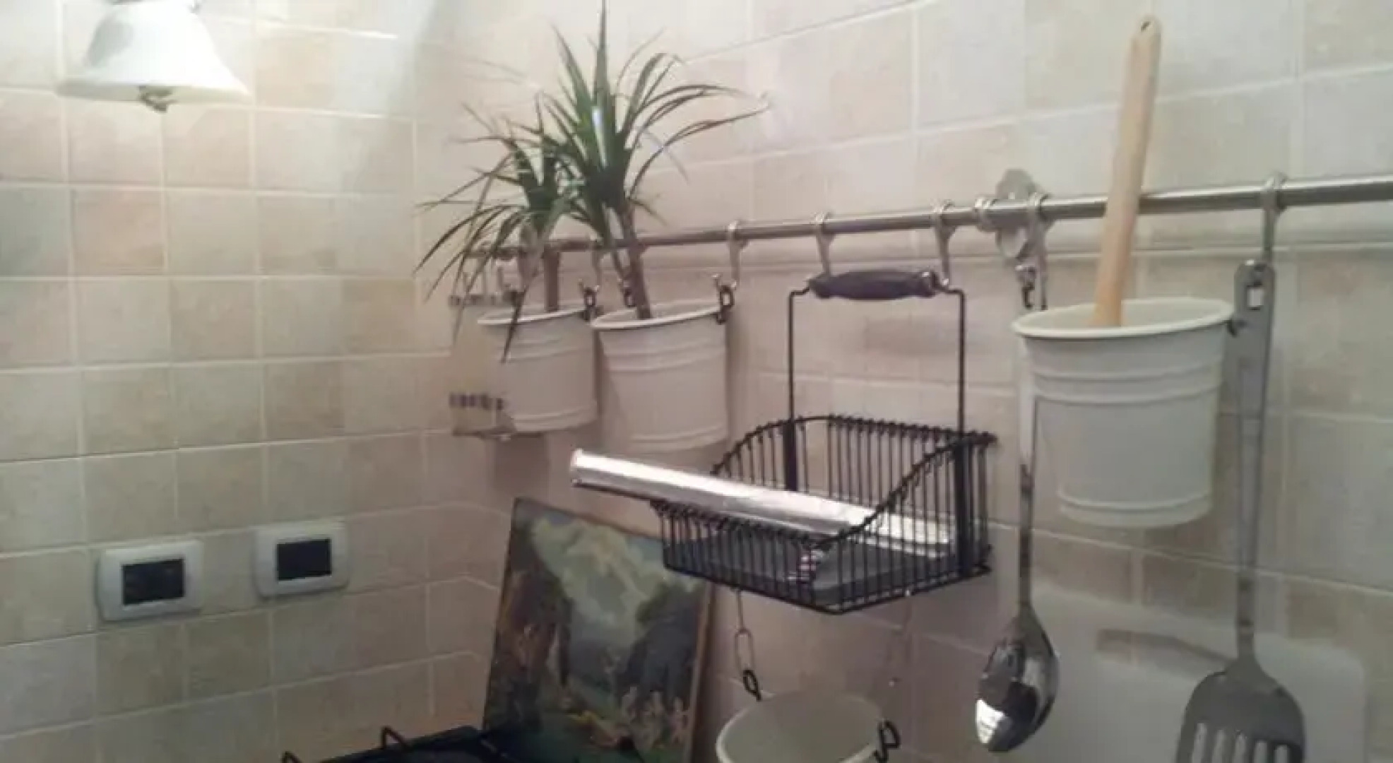 White House Holiday home