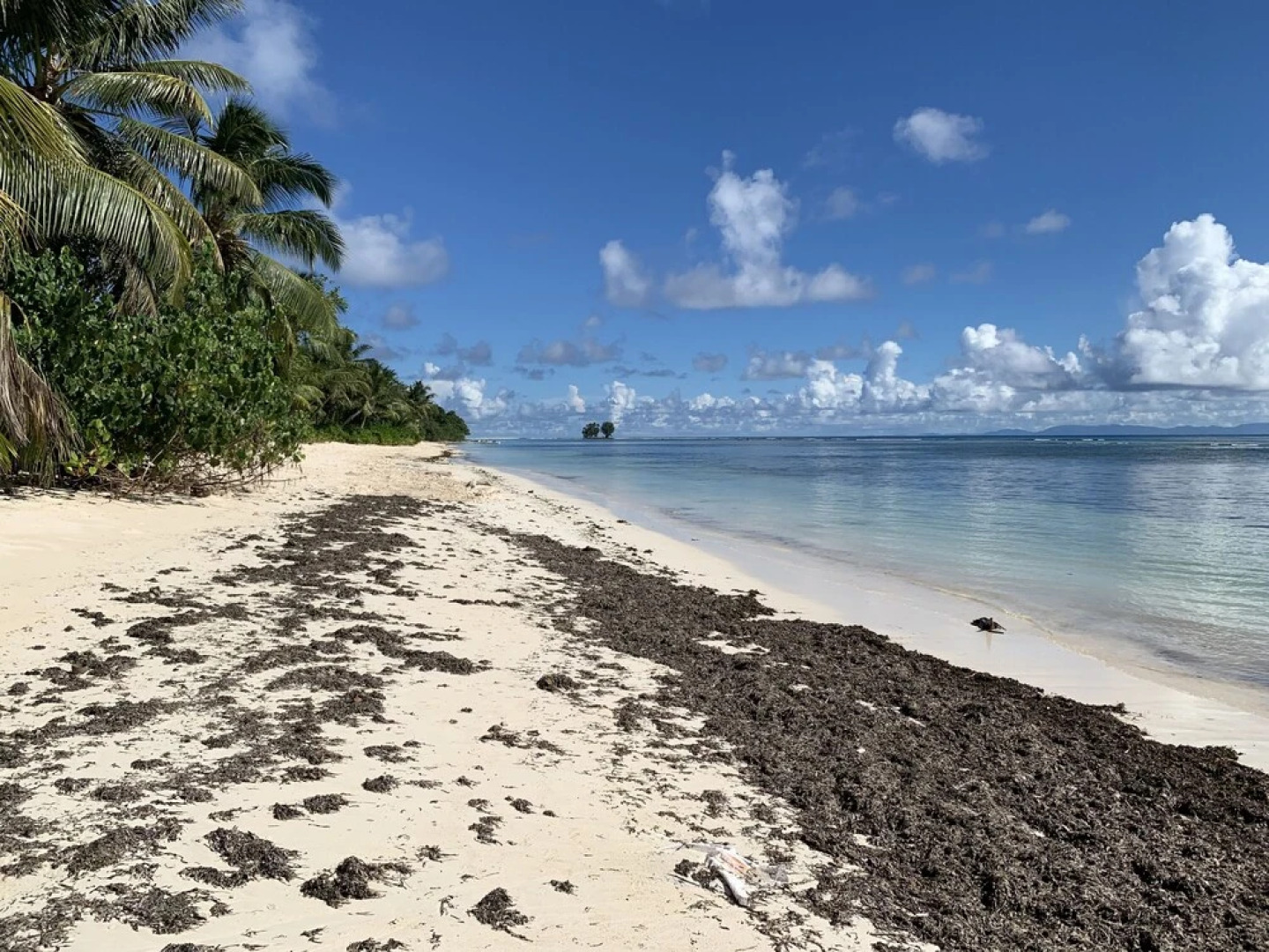 Hyde-Tide Apartments