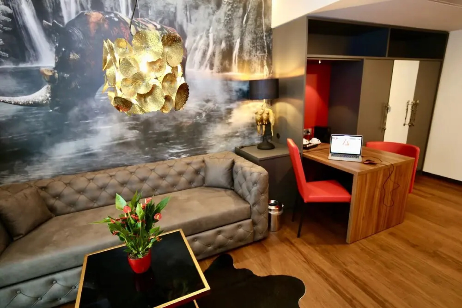 AMEDIA Studios and Living