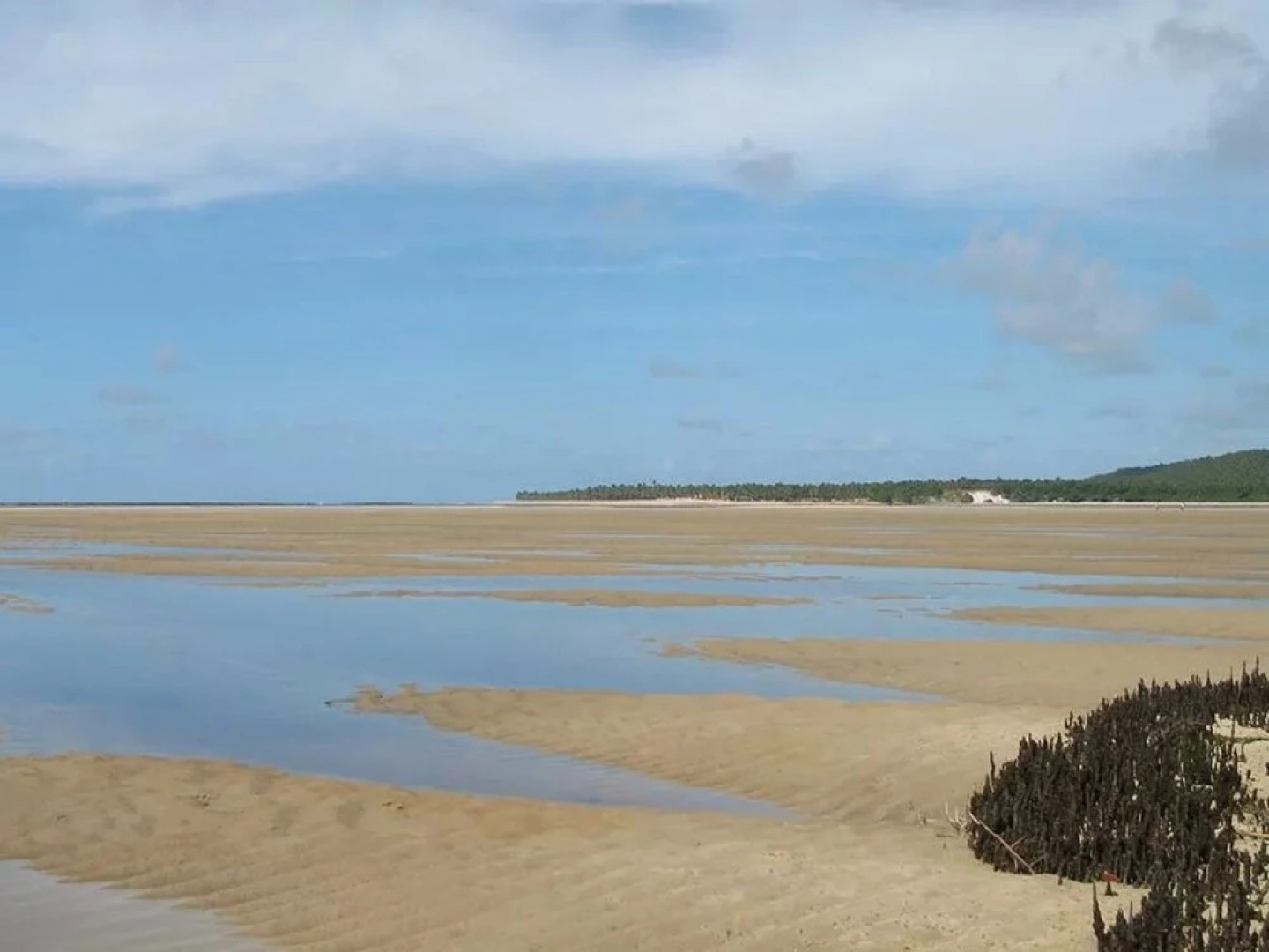 Hotel Pousada Mangrovia