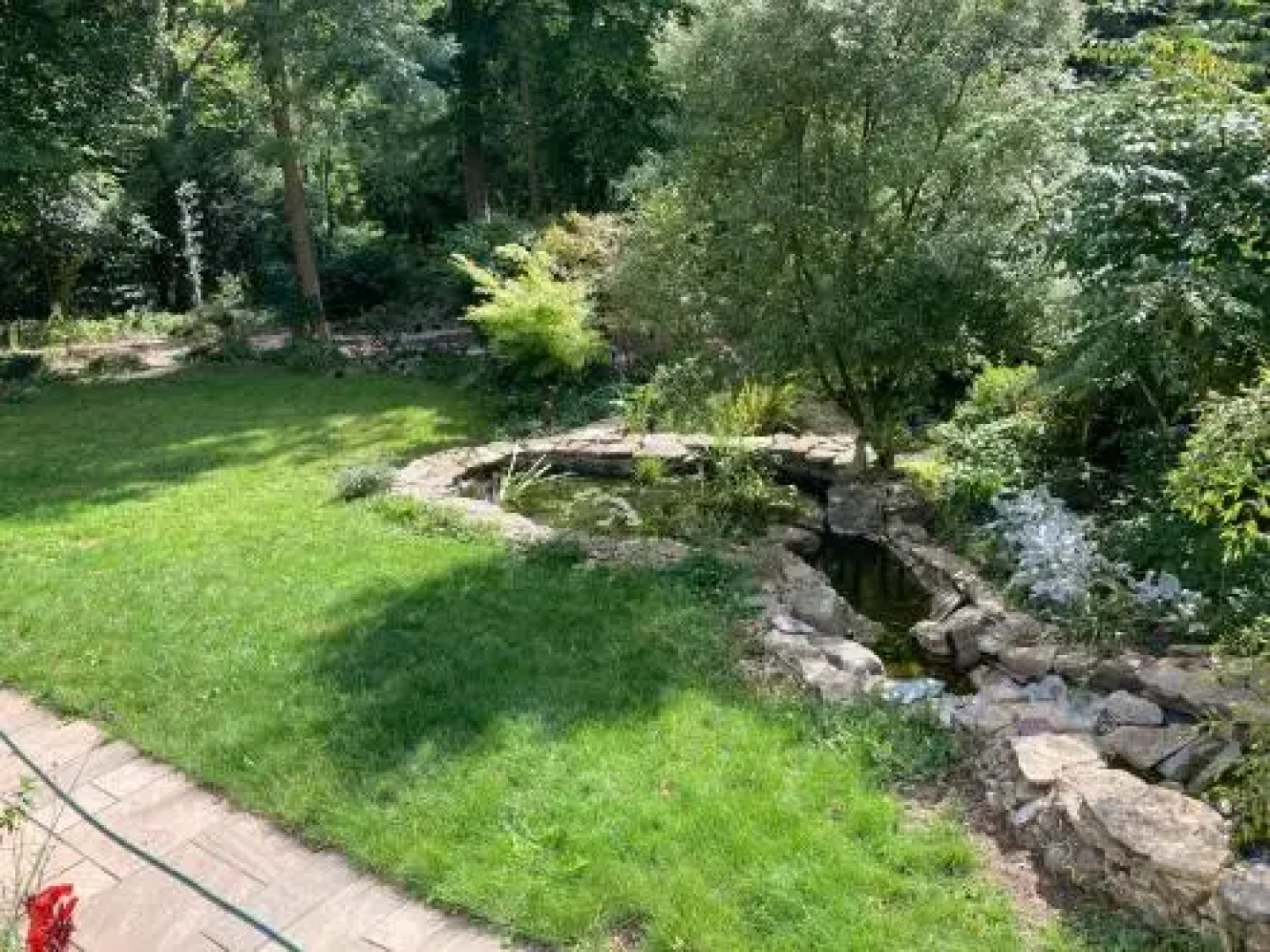 Woodland Views