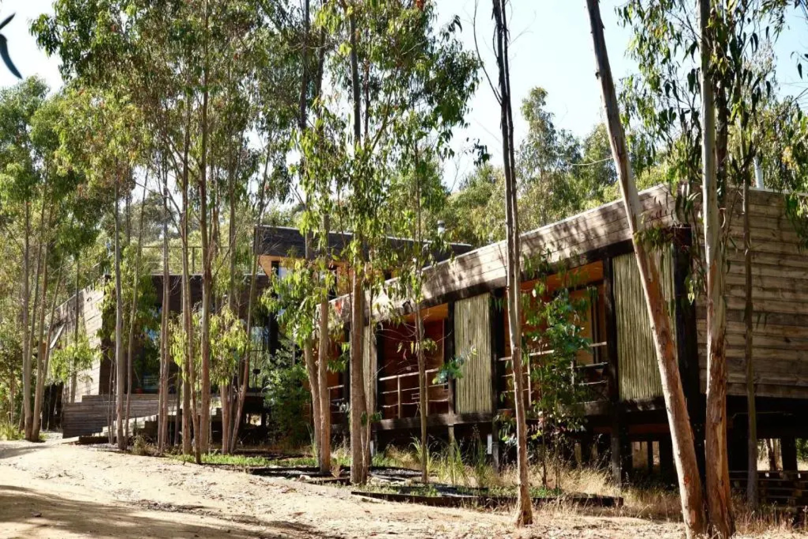 Tripanko Lodge & Bungalows