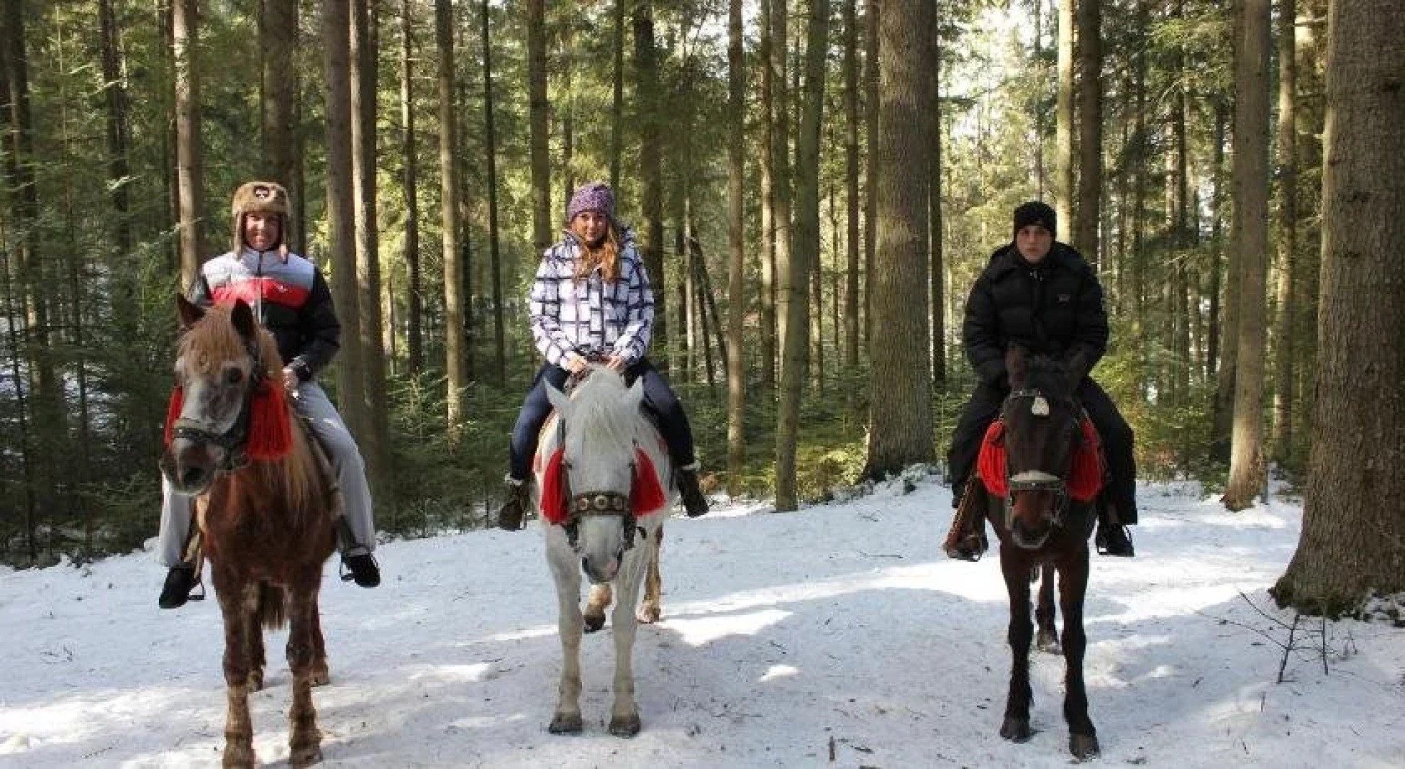 Туристичний Комплекс Ворохта 