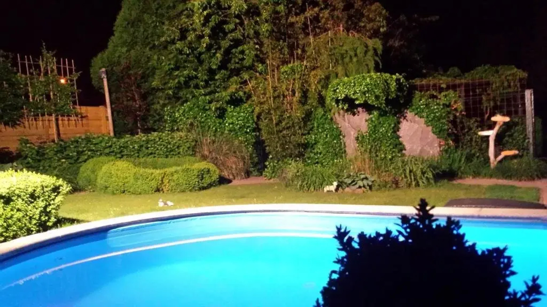 The Queensbed by The Wellness Cottage