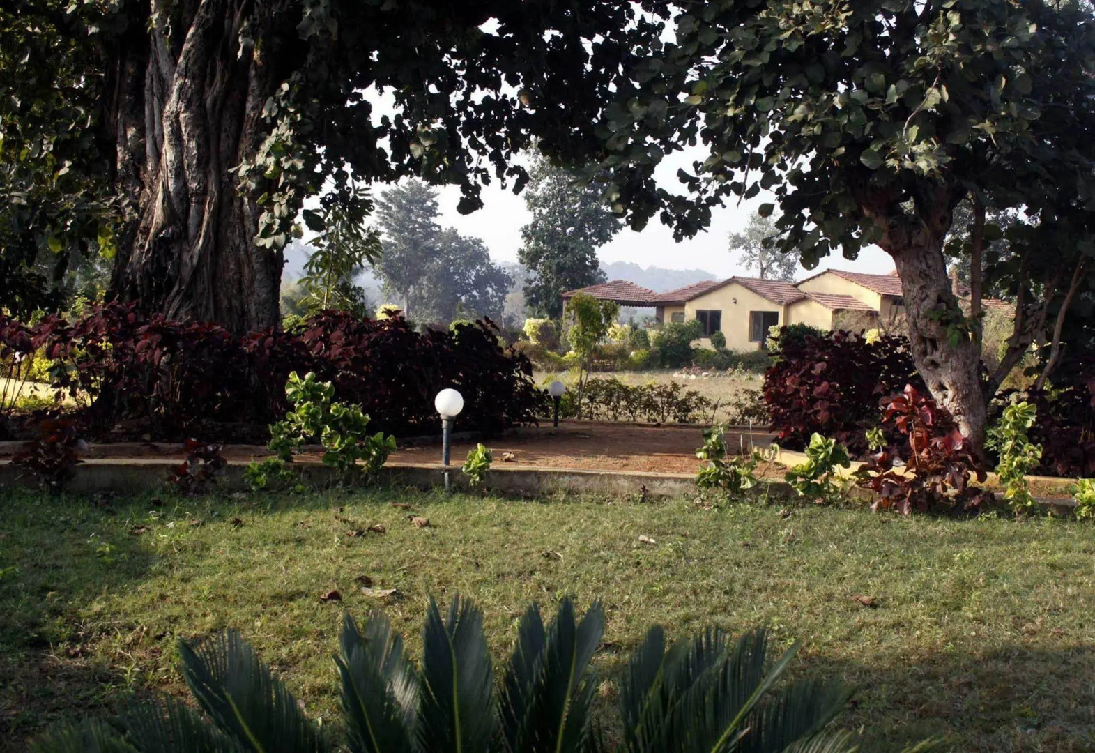 The Wildflower Resort