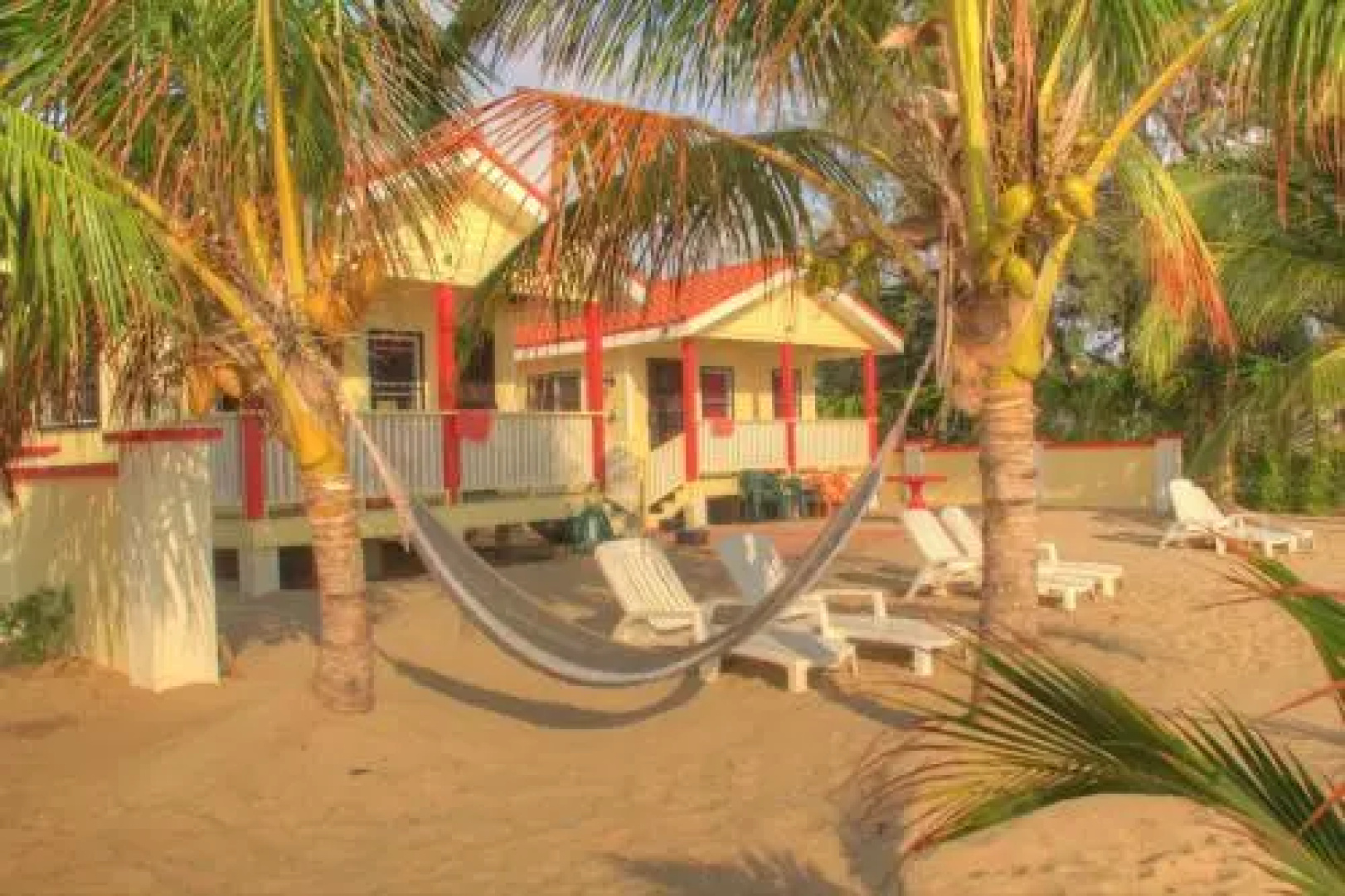 White Horse Guest House