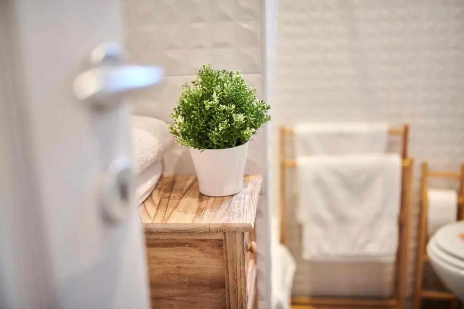 Apartment David with Hydromassage Bath near Umag