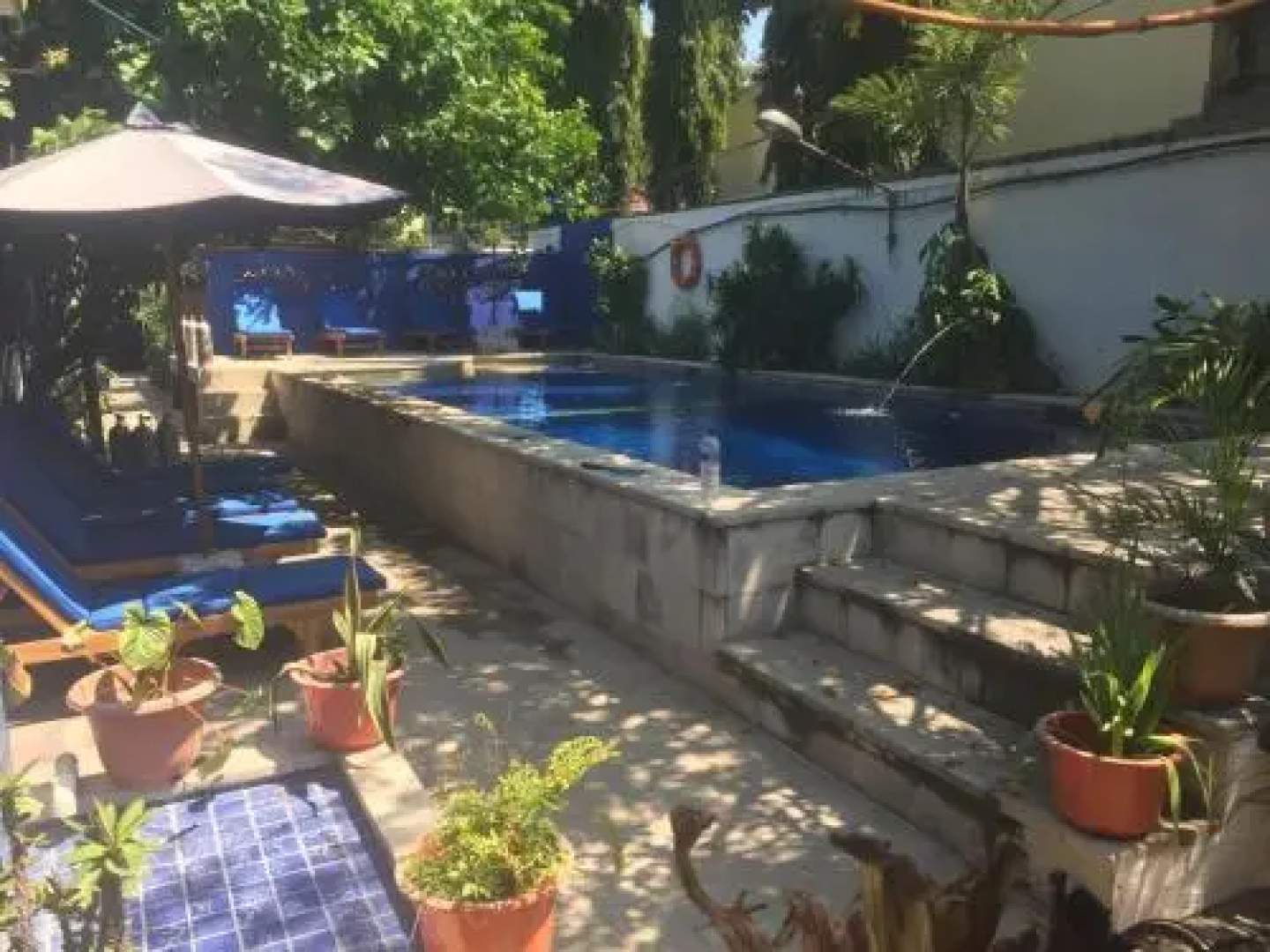 Timor Backpackers