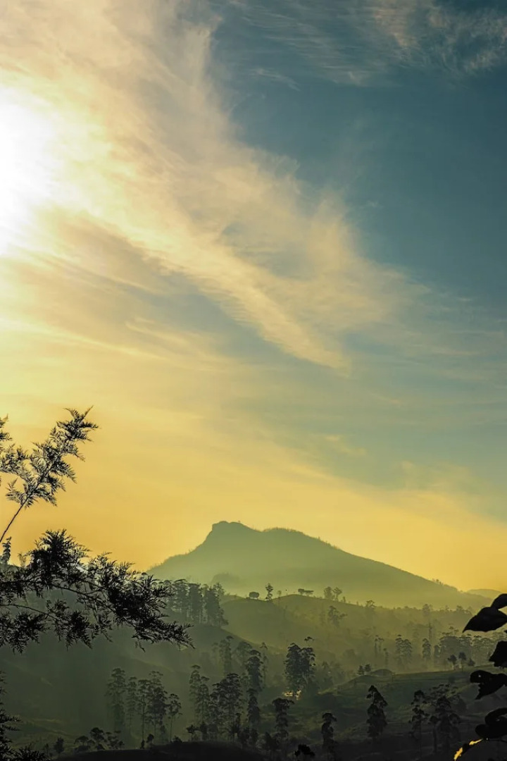 Strathdon by Zinc Journeys