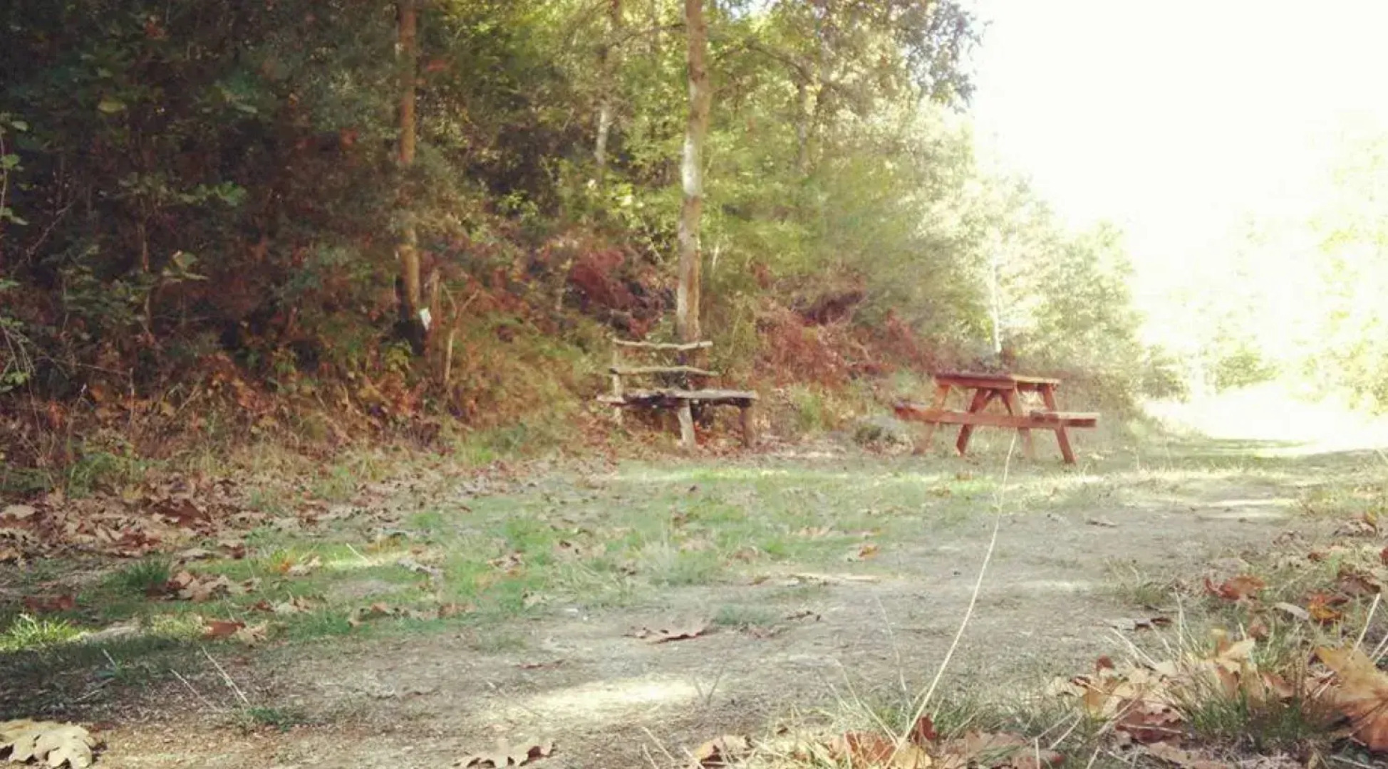 Kirkgecit Thermal Hotel