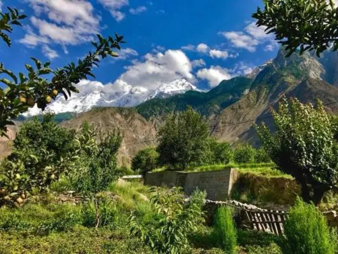 Dumani Mountain Resort