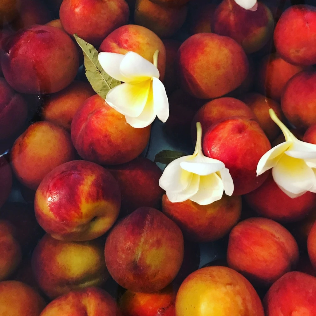 Mediterranea Luxury House