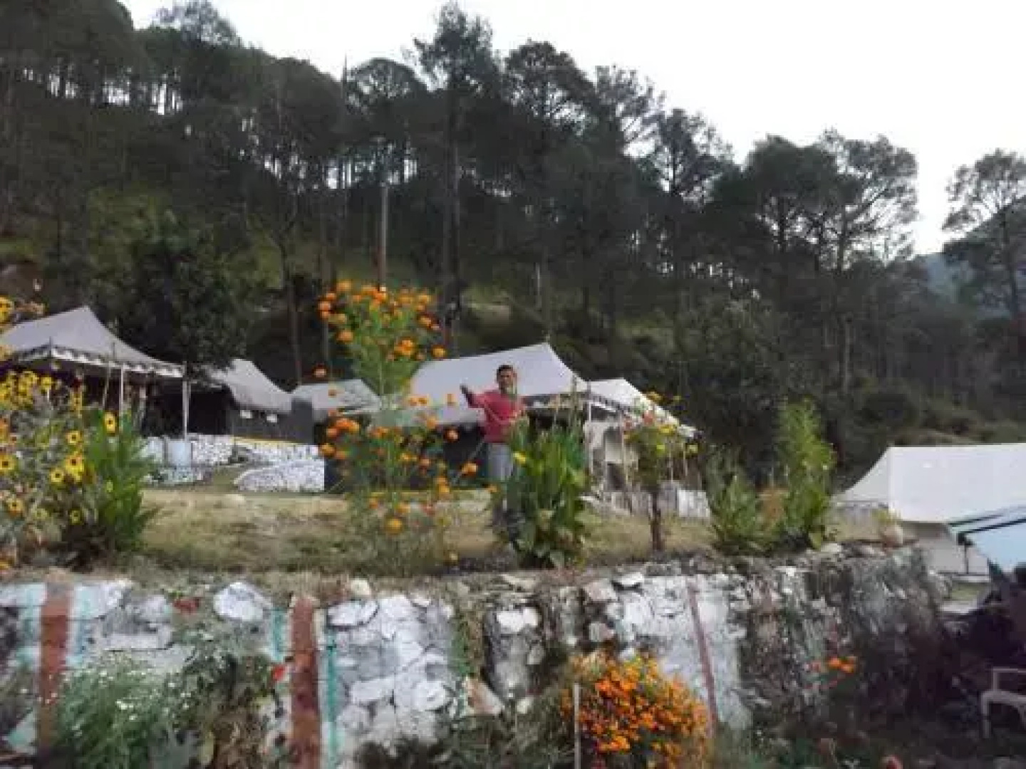 Camp Nirvana Yamunotri