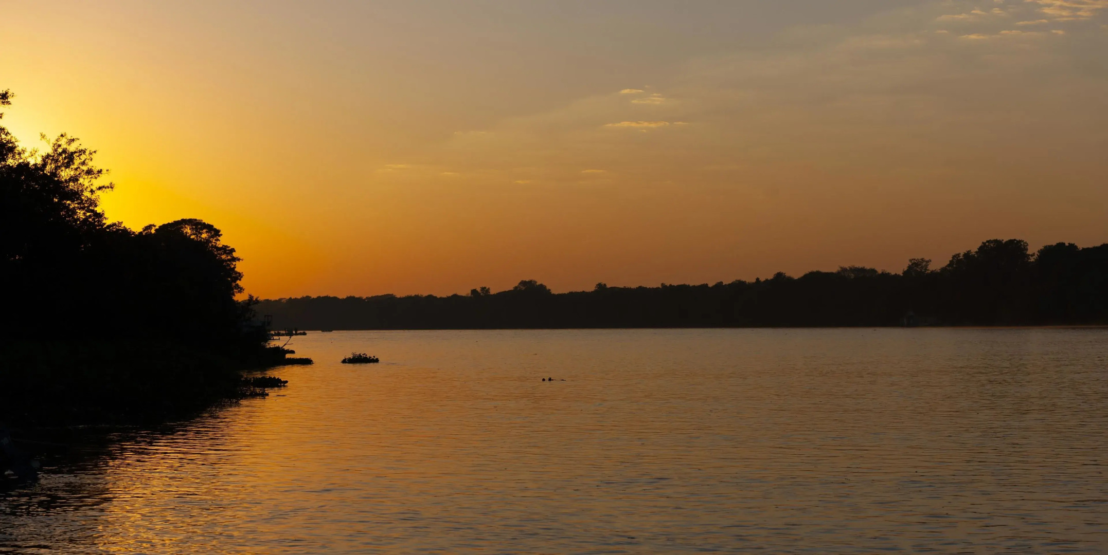 Porto Jofre Pantanal