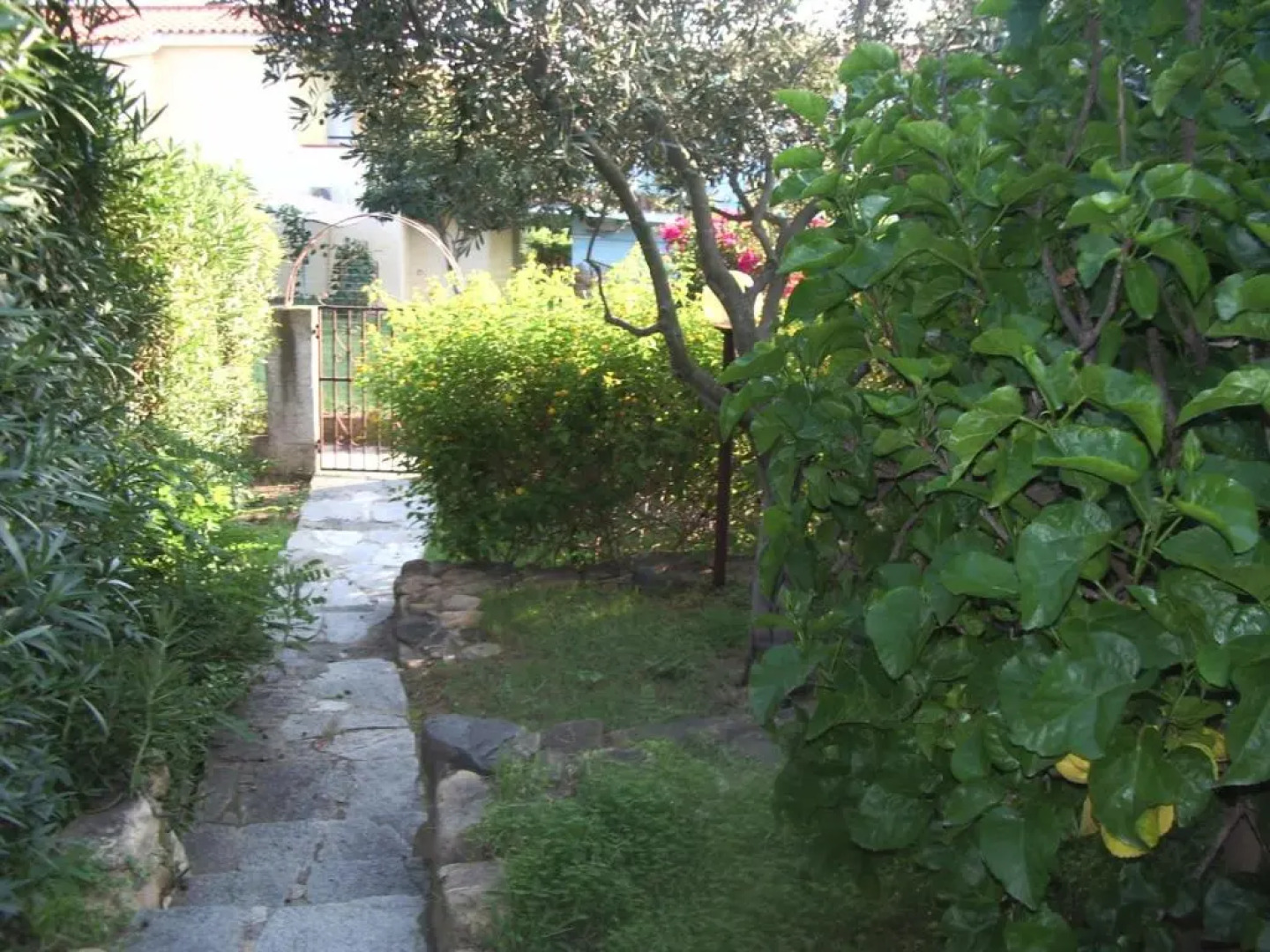 Bilo Holiday a 80 metri dal mare