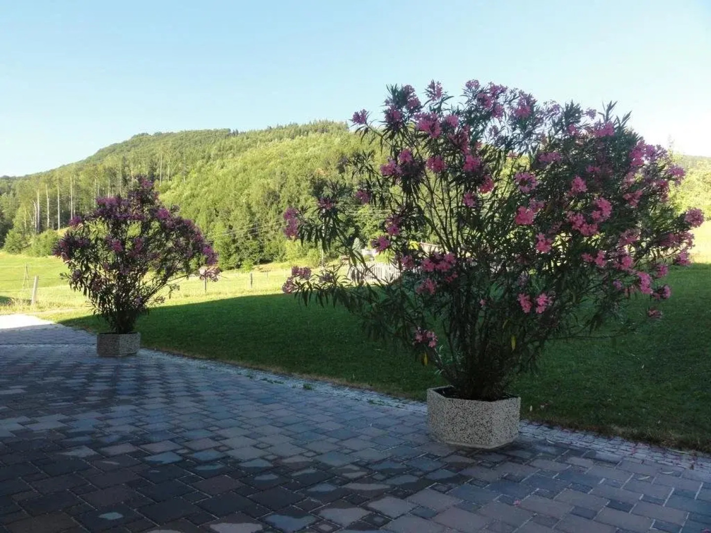 Ferienwohnungen Bachbauer