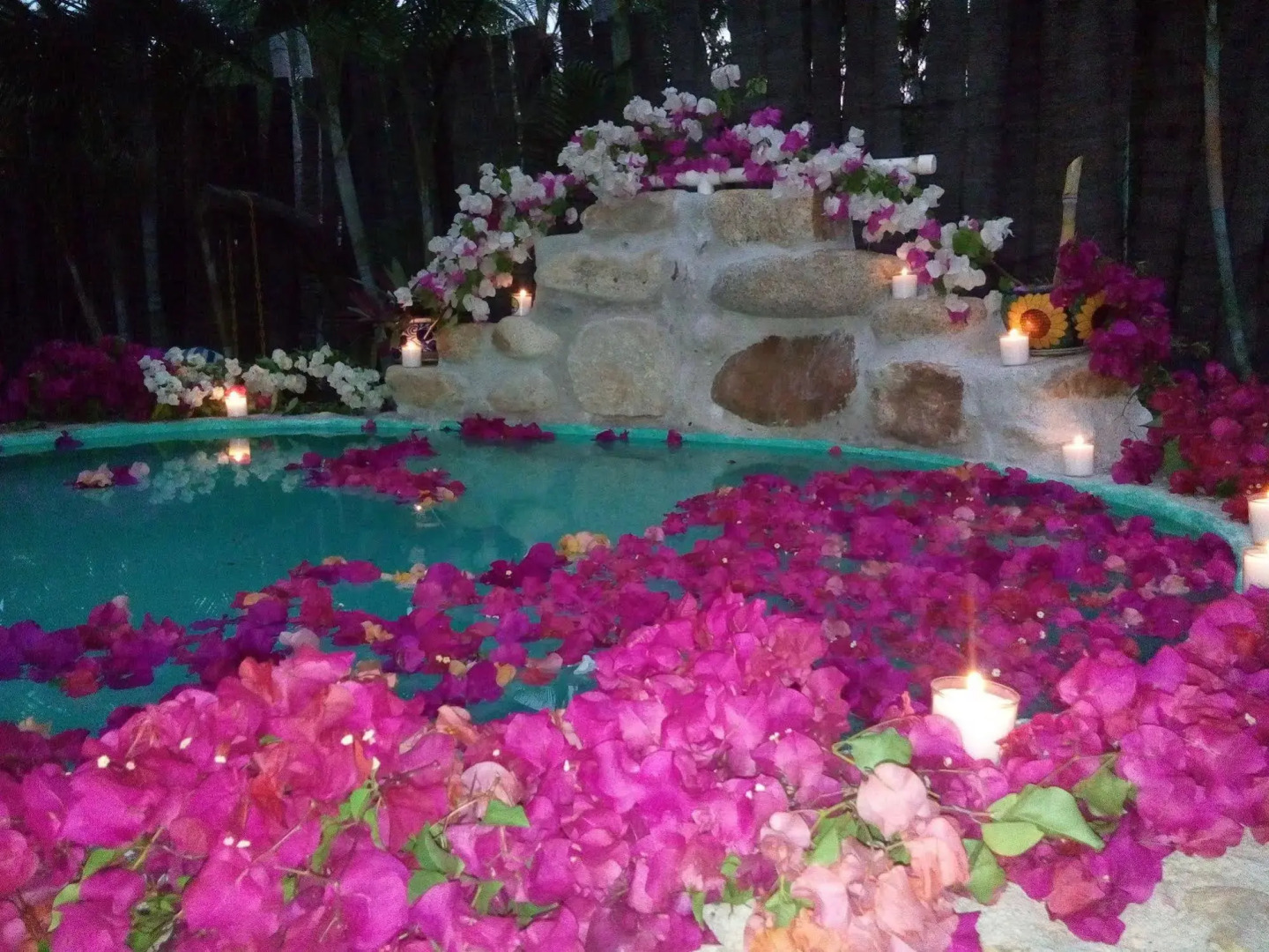 Jardines Los Cormoranes