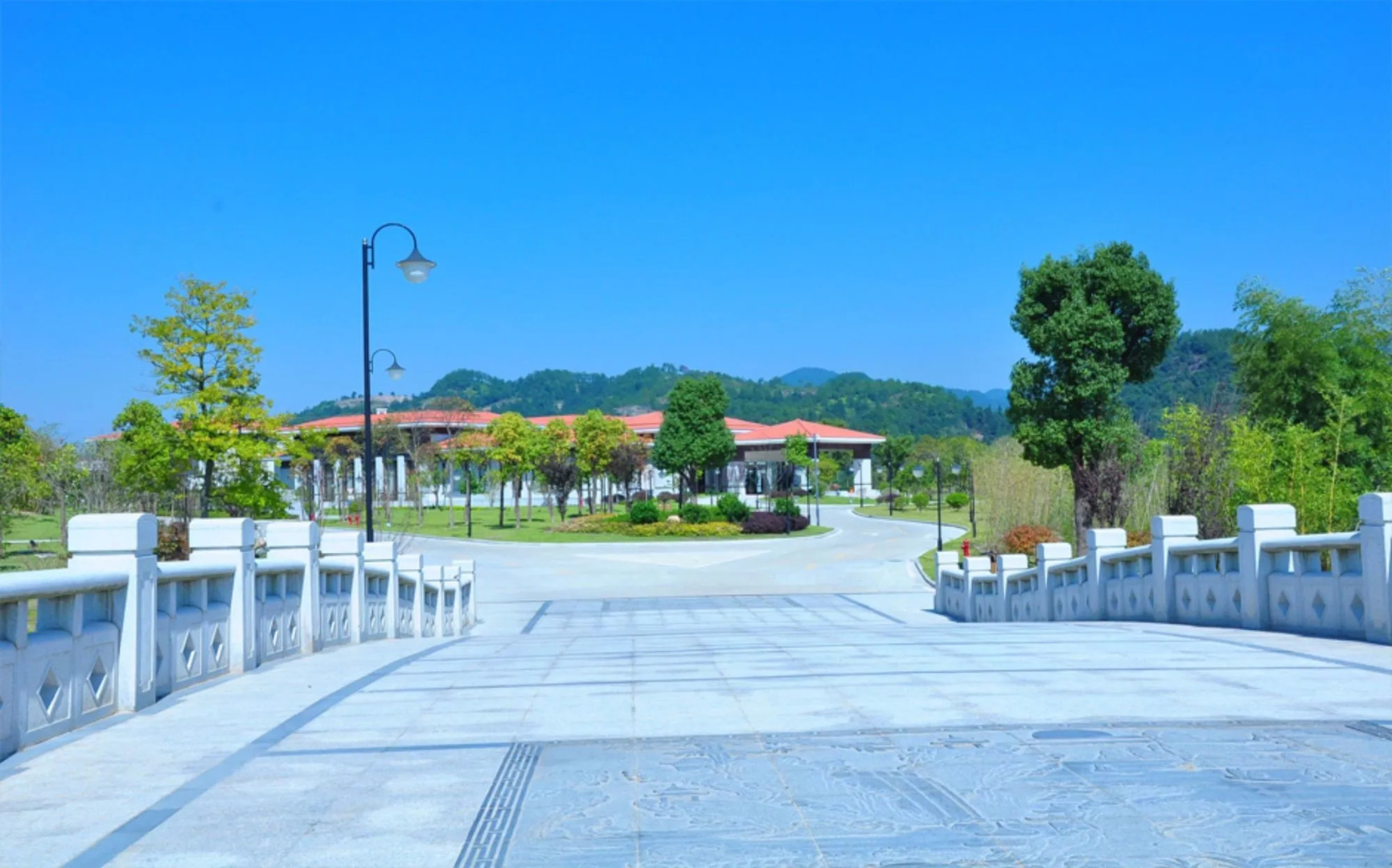 Wuyi Mountain Dahongpao Resort