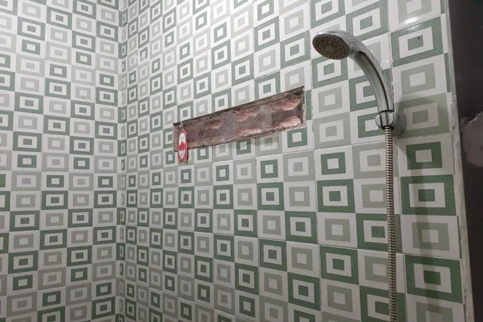 Spot On 2846 Kost Faza