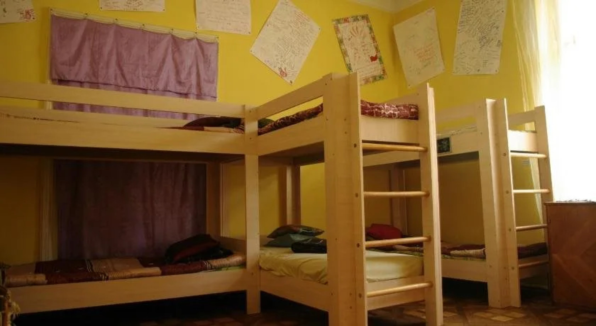 Cat's house Хостел