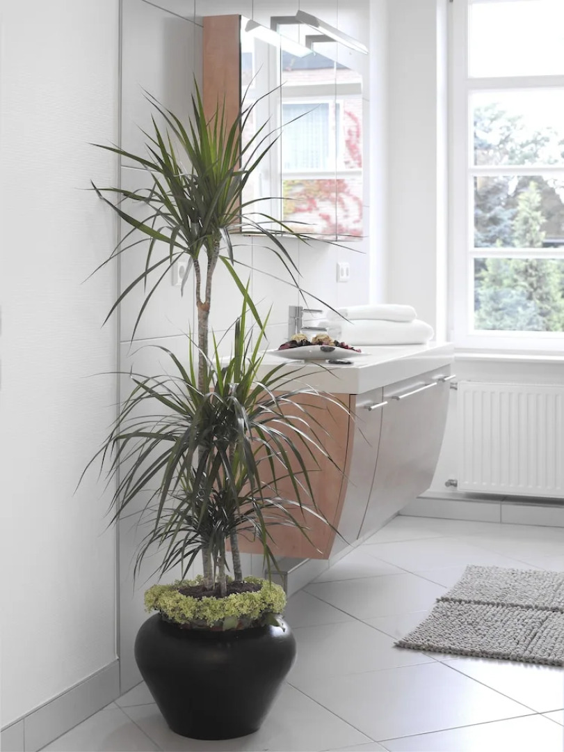 Hotel Domicil Lebensart