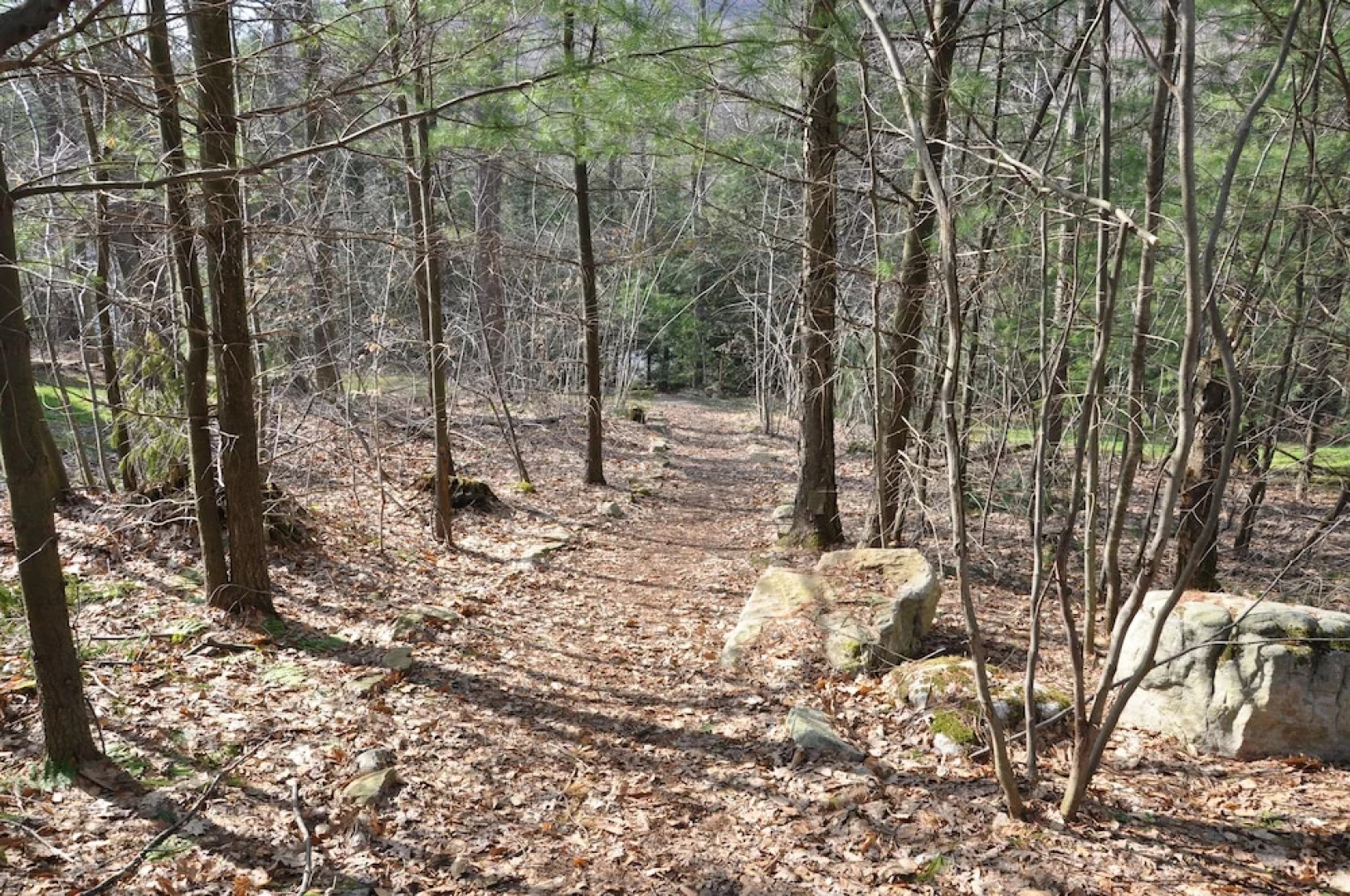 Carmel Cove Inn at Deep Creek Lake