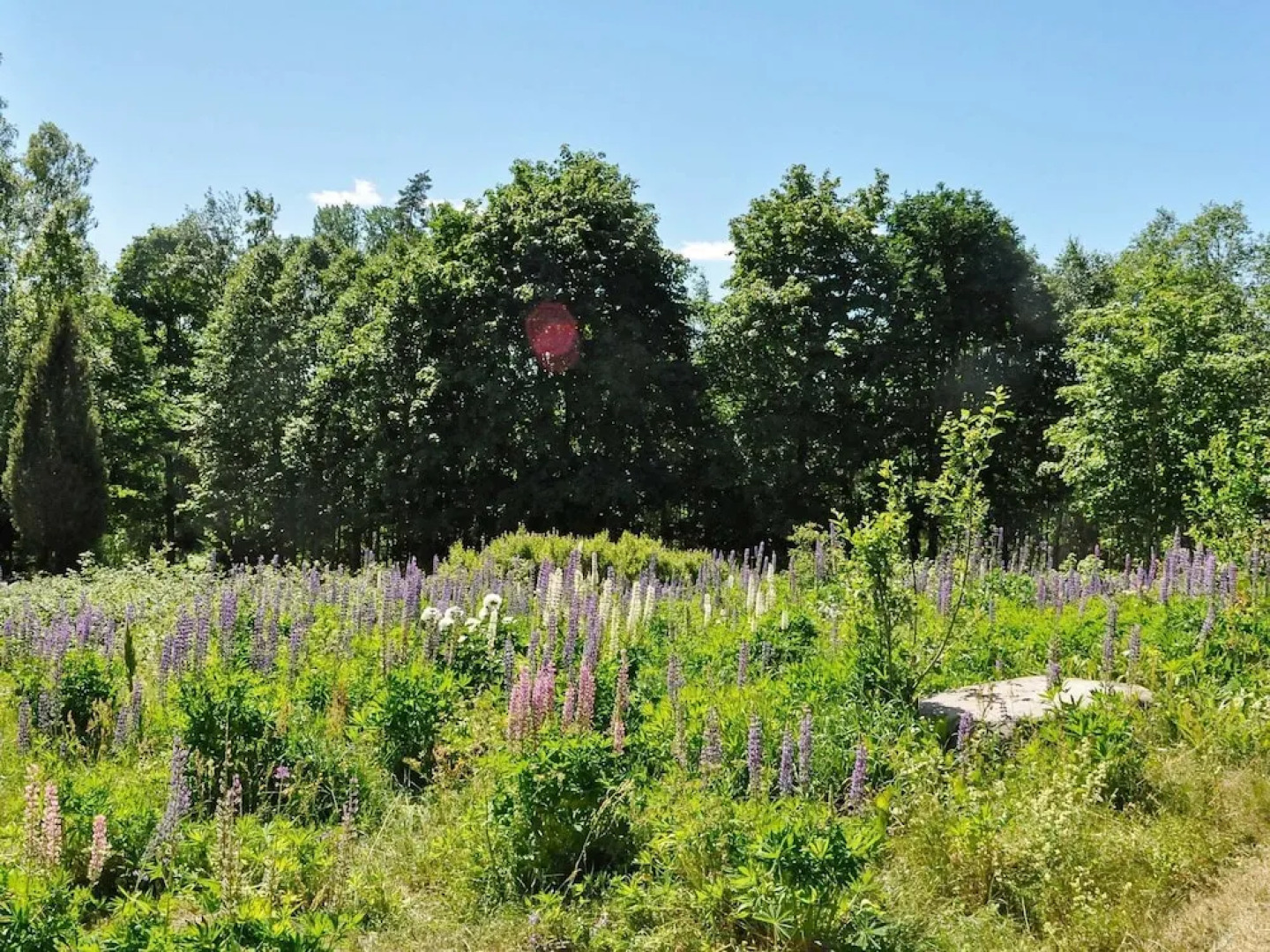 6 Person Holiday Home in Sunne