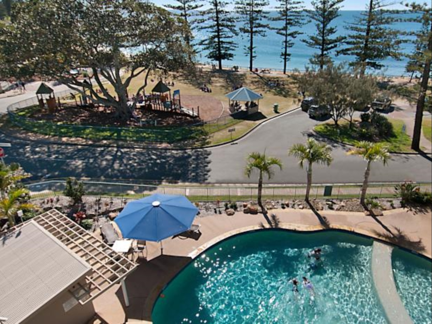 Norfolks on Moffat Beach