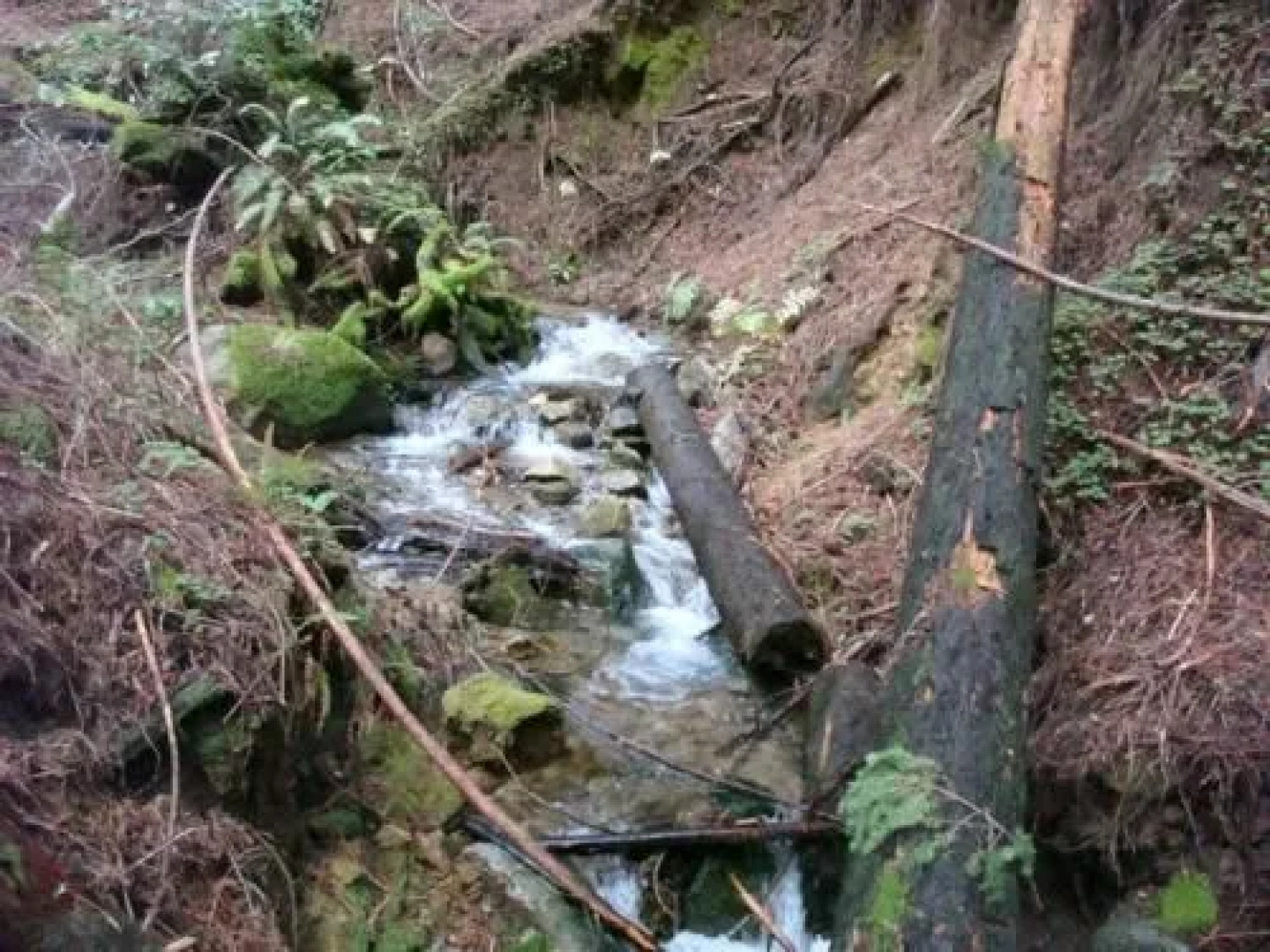 Fairview Manor Bed and Breakfast