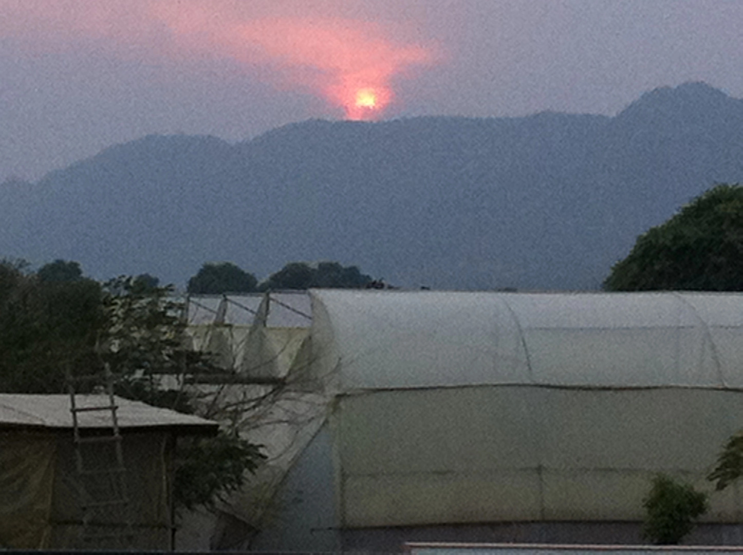 The Greenhouse Resort