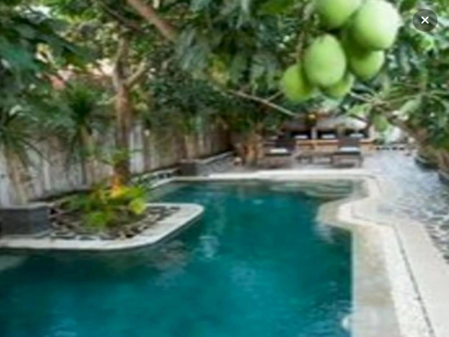 Scallywags Mango Motel