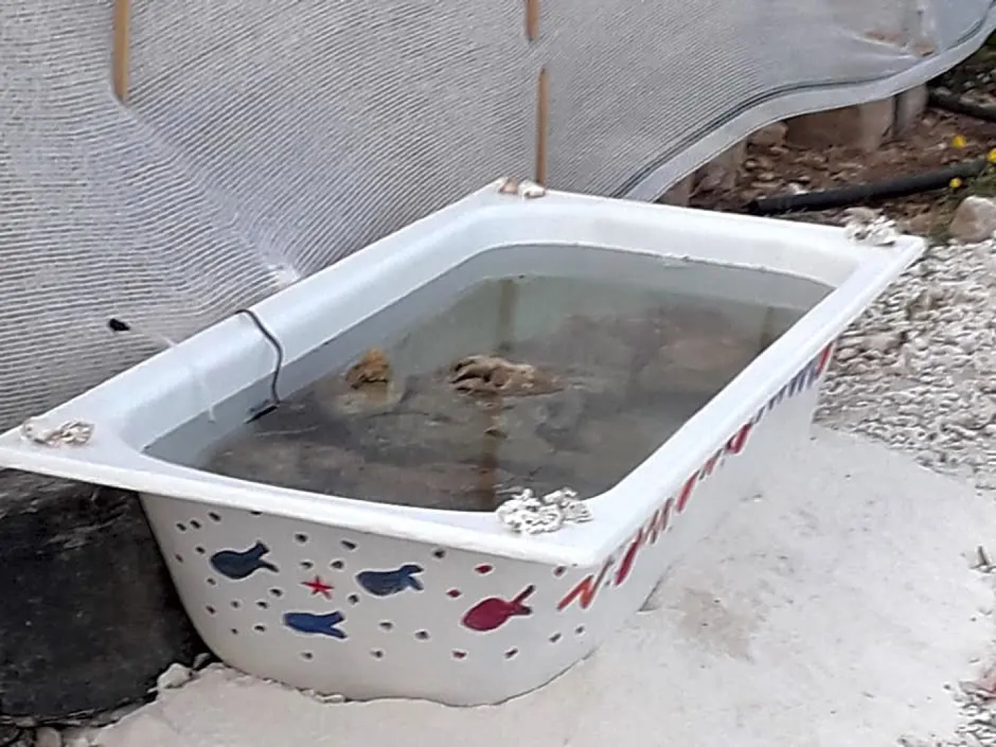 ResidenceU ZU GNAZIU