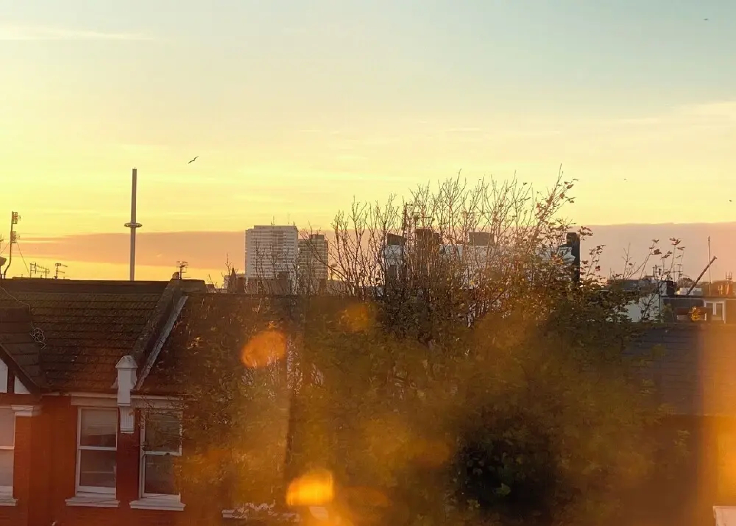 27 Brighton
