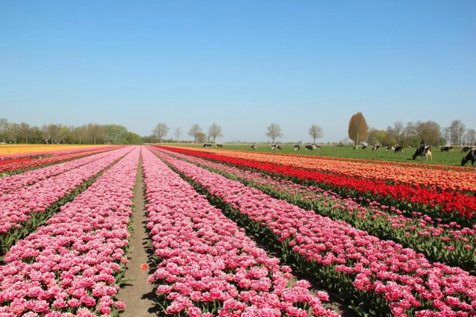 Sandepark 171 - Groote Keeten