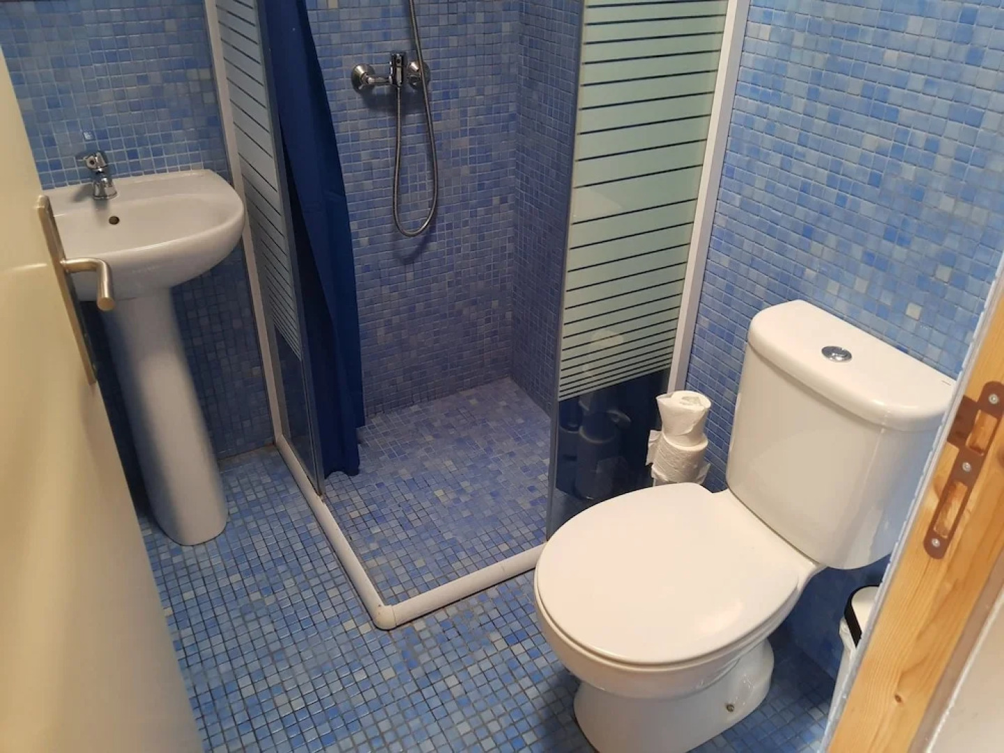 Sardines and Friends