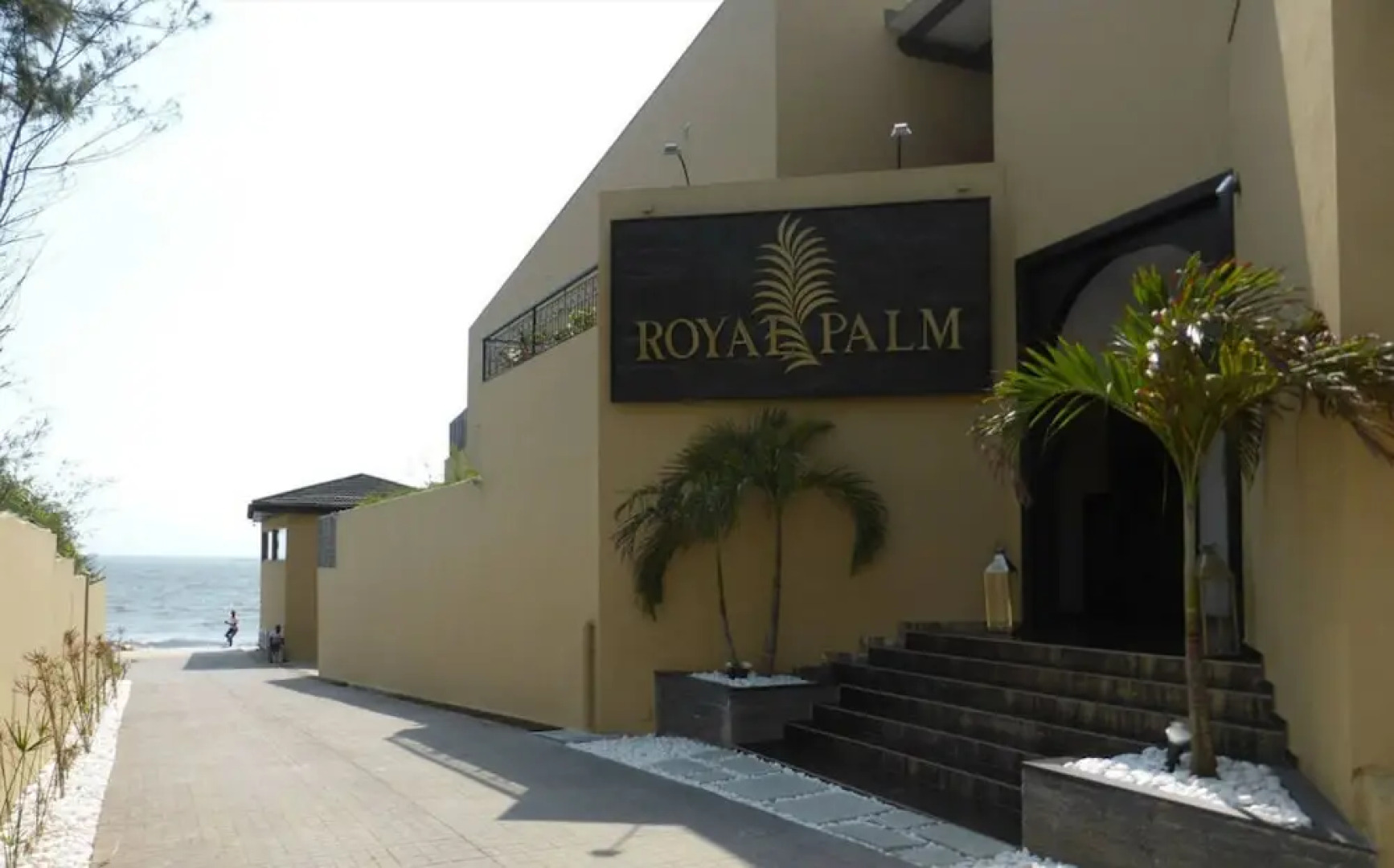 Royal Palm